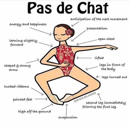 Pas de Chat.jpg