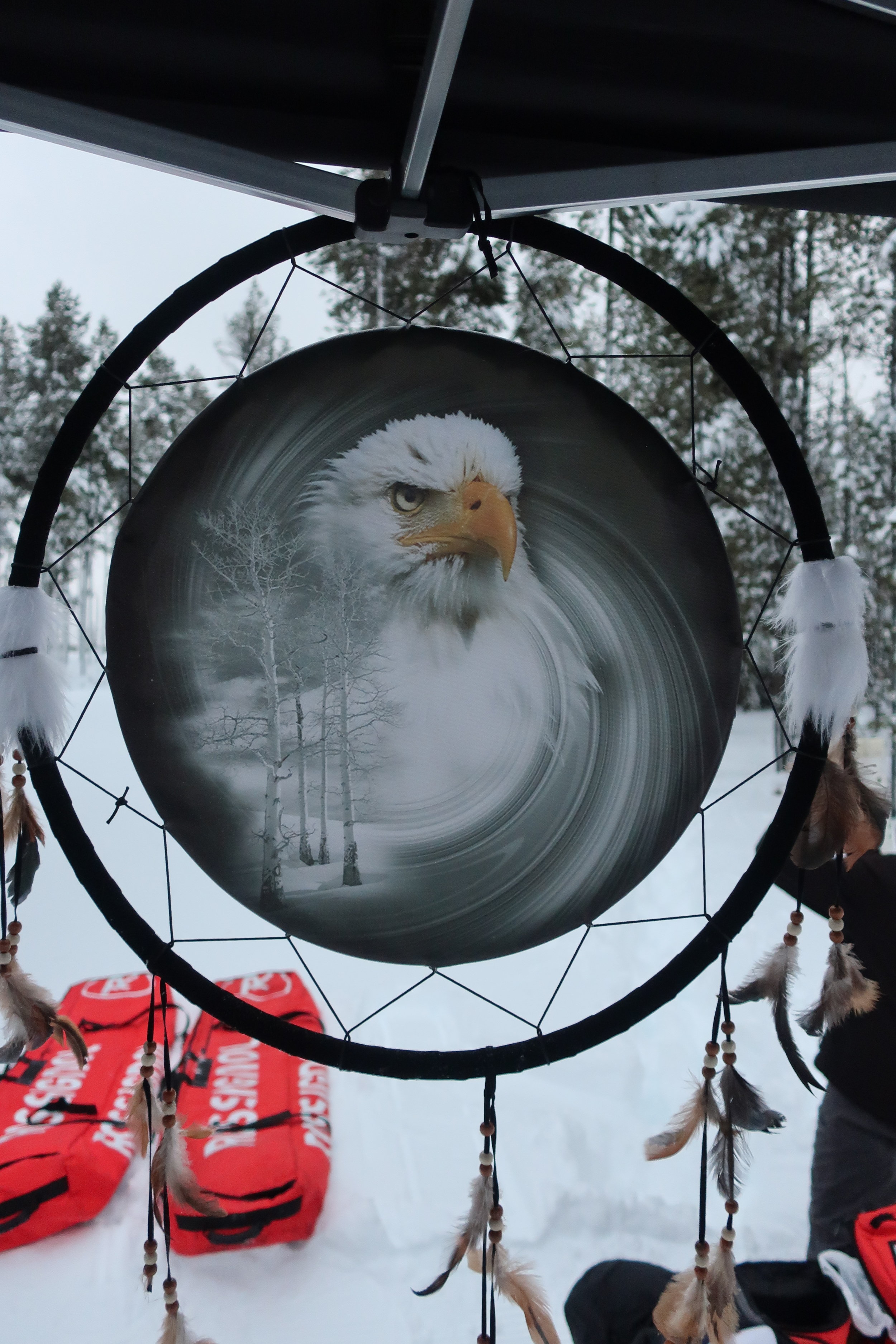 The Spirit of Skiing