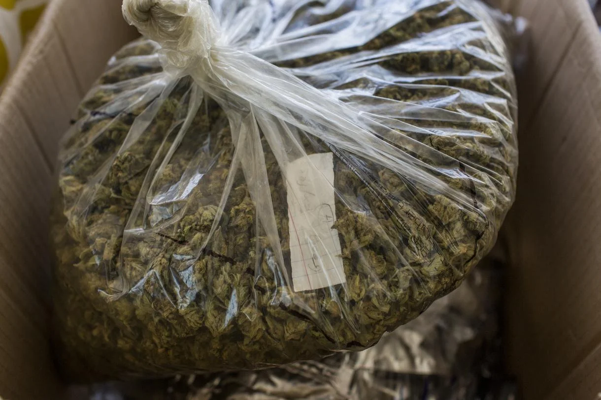 in-photos-the-wild-west-of-legal-marijuana-celebrates-with-weed-the-people-party-body-image-1436020706.jpg