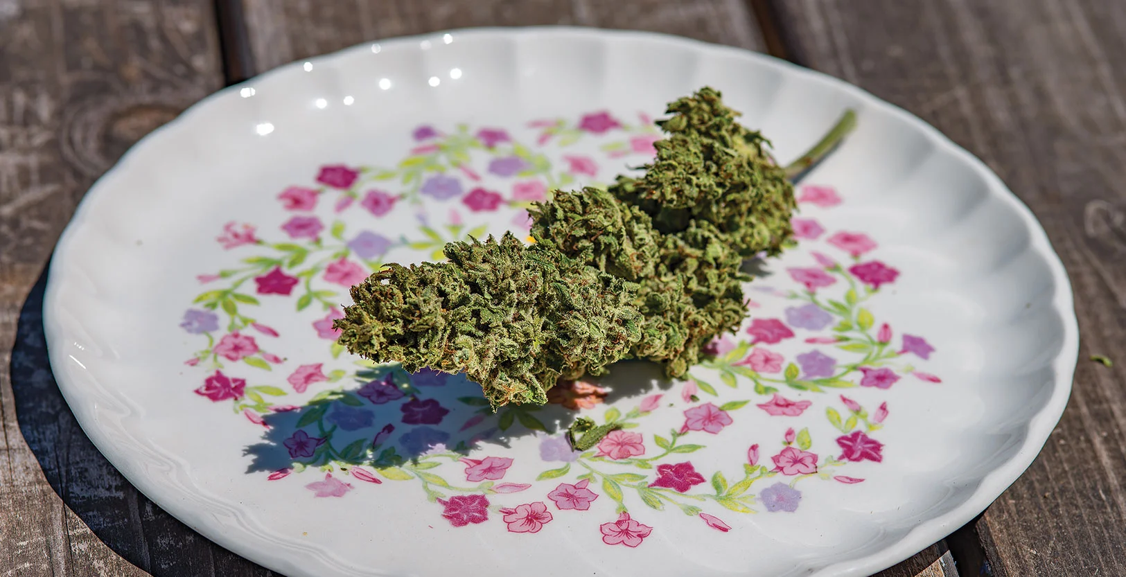 island-sweet-skunk.jpg