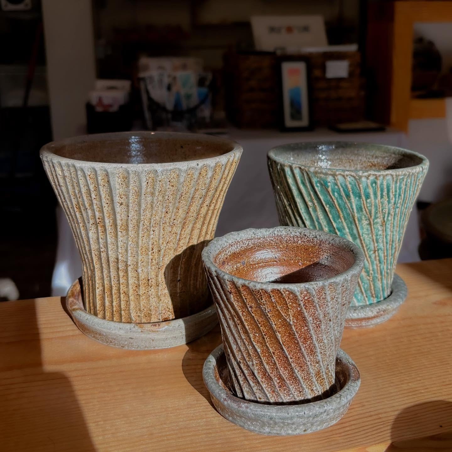 Lots of planters of all sizes will be available on Sunday, April 27th for the Community Plant Swap and Planter Sale. Bring lots of plants to share!

@studio_maypop @dylans_ceramics #plantswap #plantswapping #plants #garden #planter #flowerpot #durham