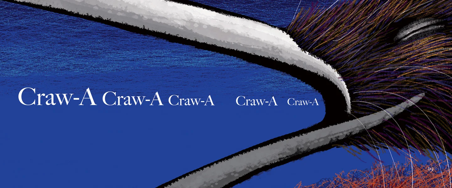 19-Mr-Kiwi-Book-72-dpi#-18-19.jpg
