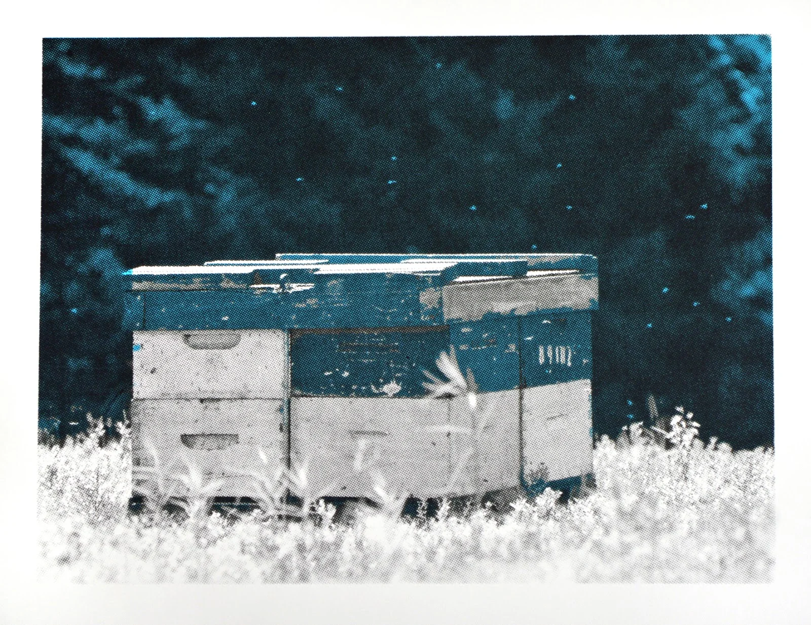 bees.jpg
