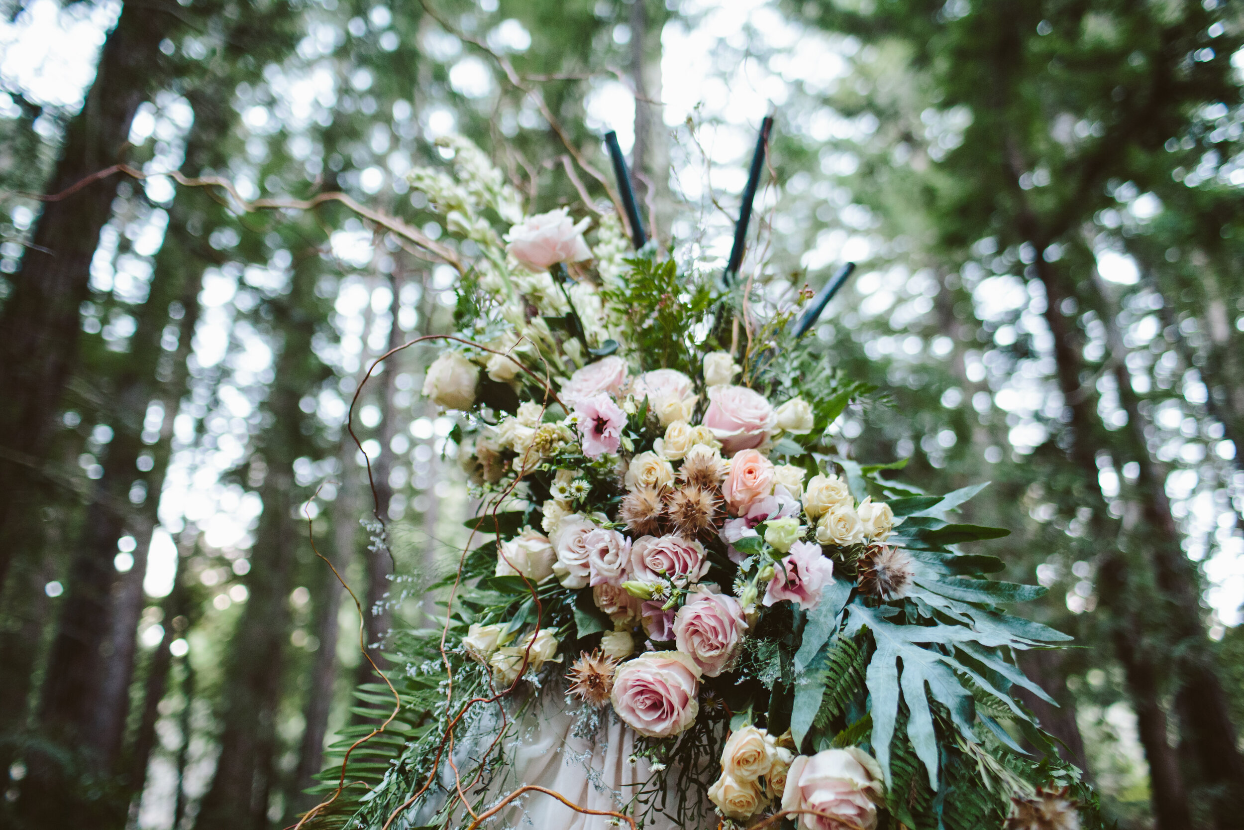 THEDELAURAS_POSTRANCHINN_ELOPEMENT_BIGSUR_WEDDING_PHOTOGRAPHER_BLUEDAPHNE_EVENTS_LAURA_STEELE_GRANGER_0400.jpg