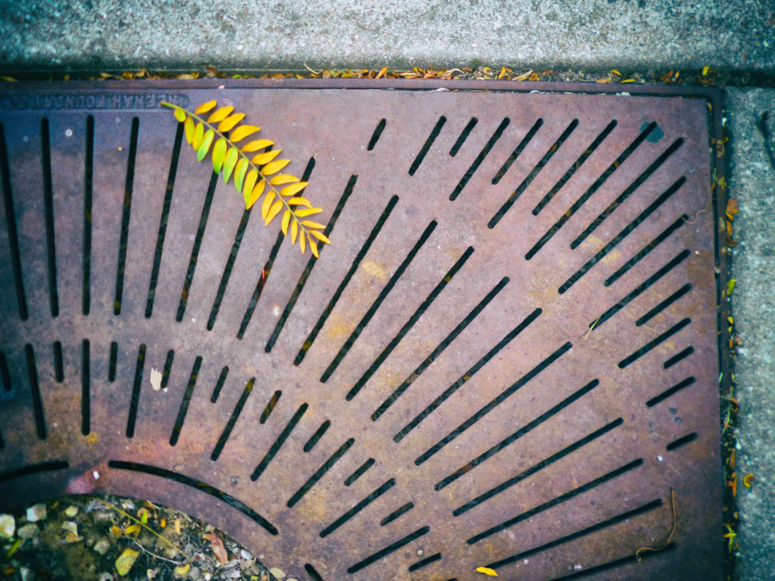 Found Poem Nixa Walk bright.jpg