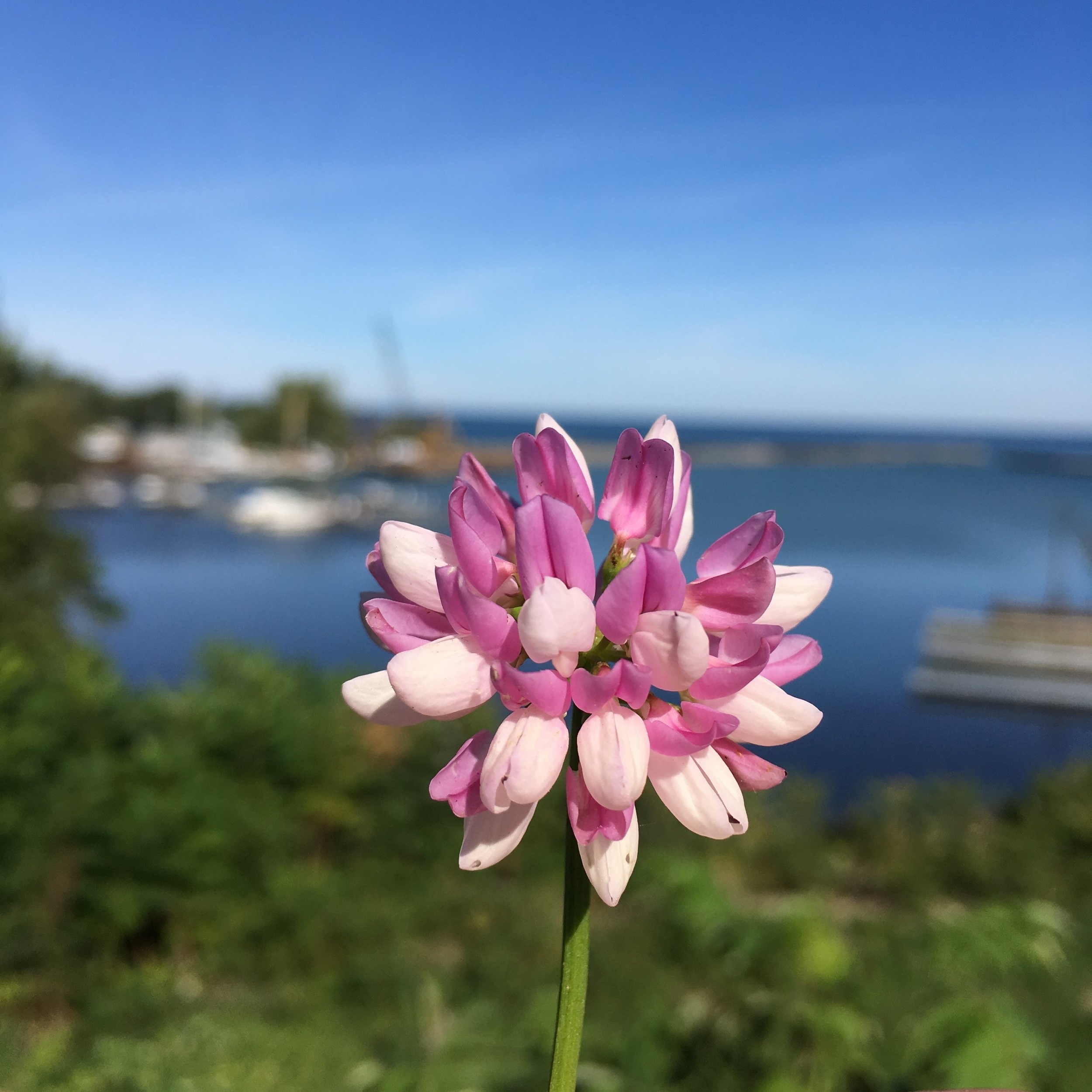 It's Not JUST About the Decision