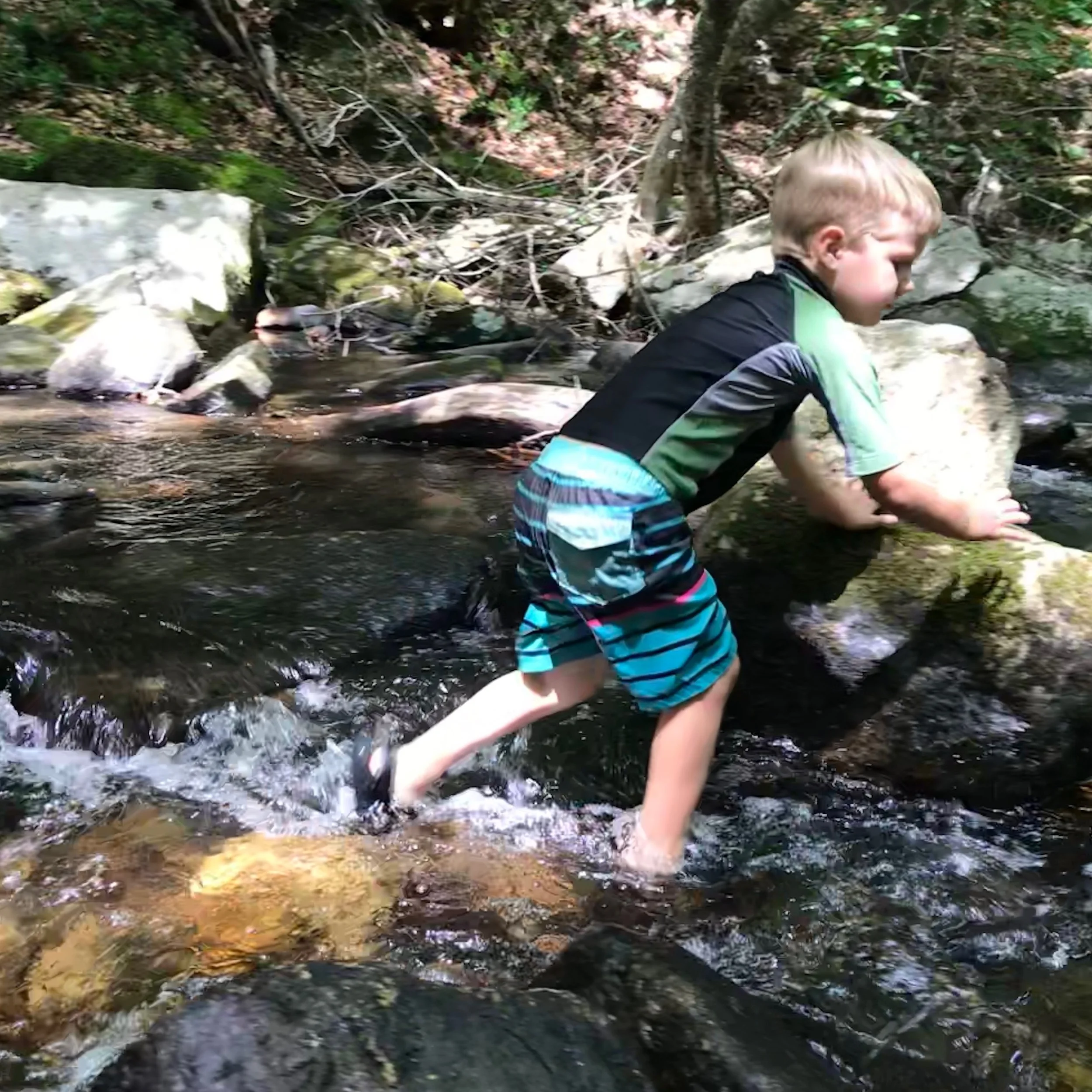 Act Before It's Too Late