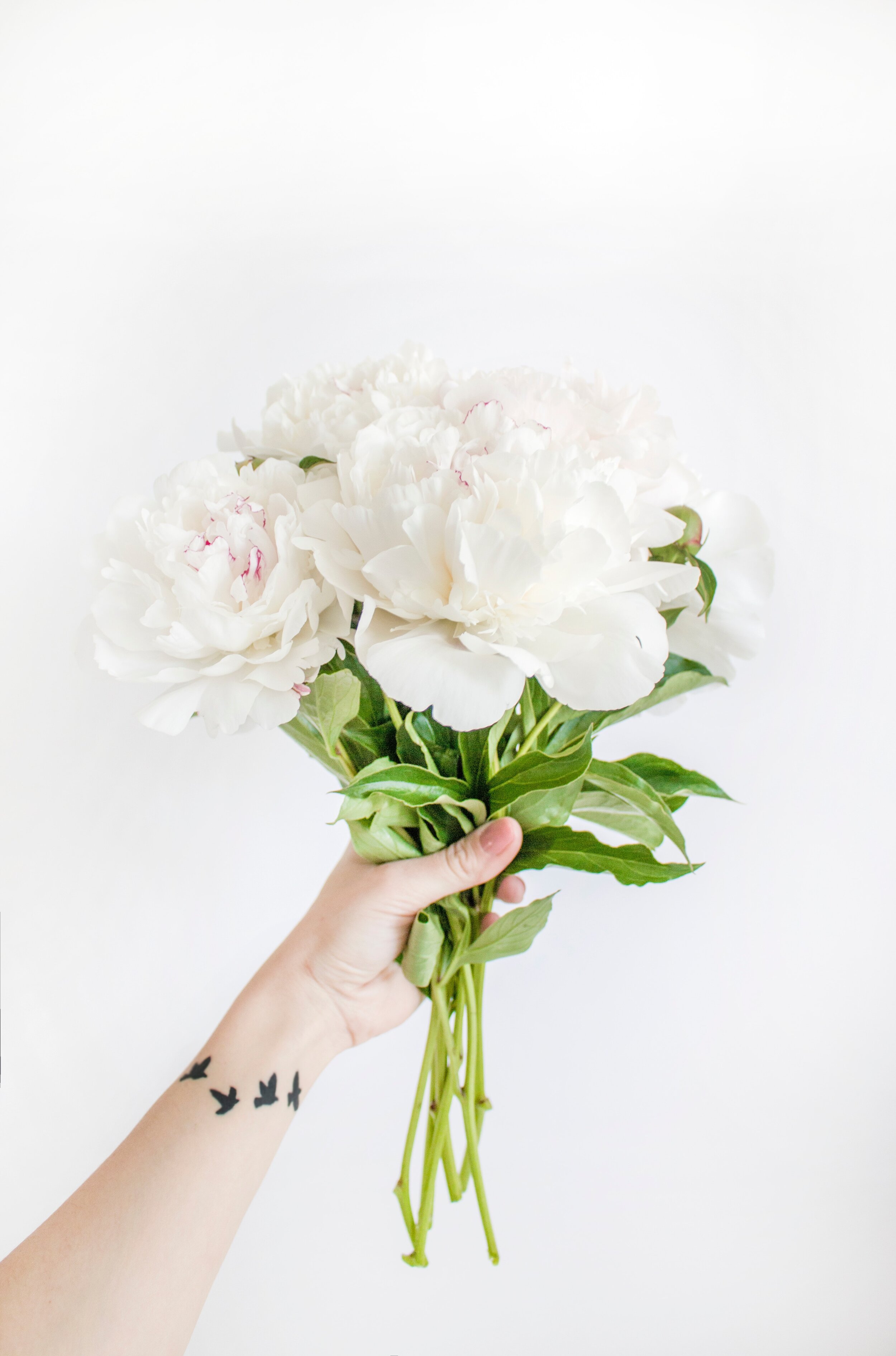 background-beautiful-blooming-1109561.jpg