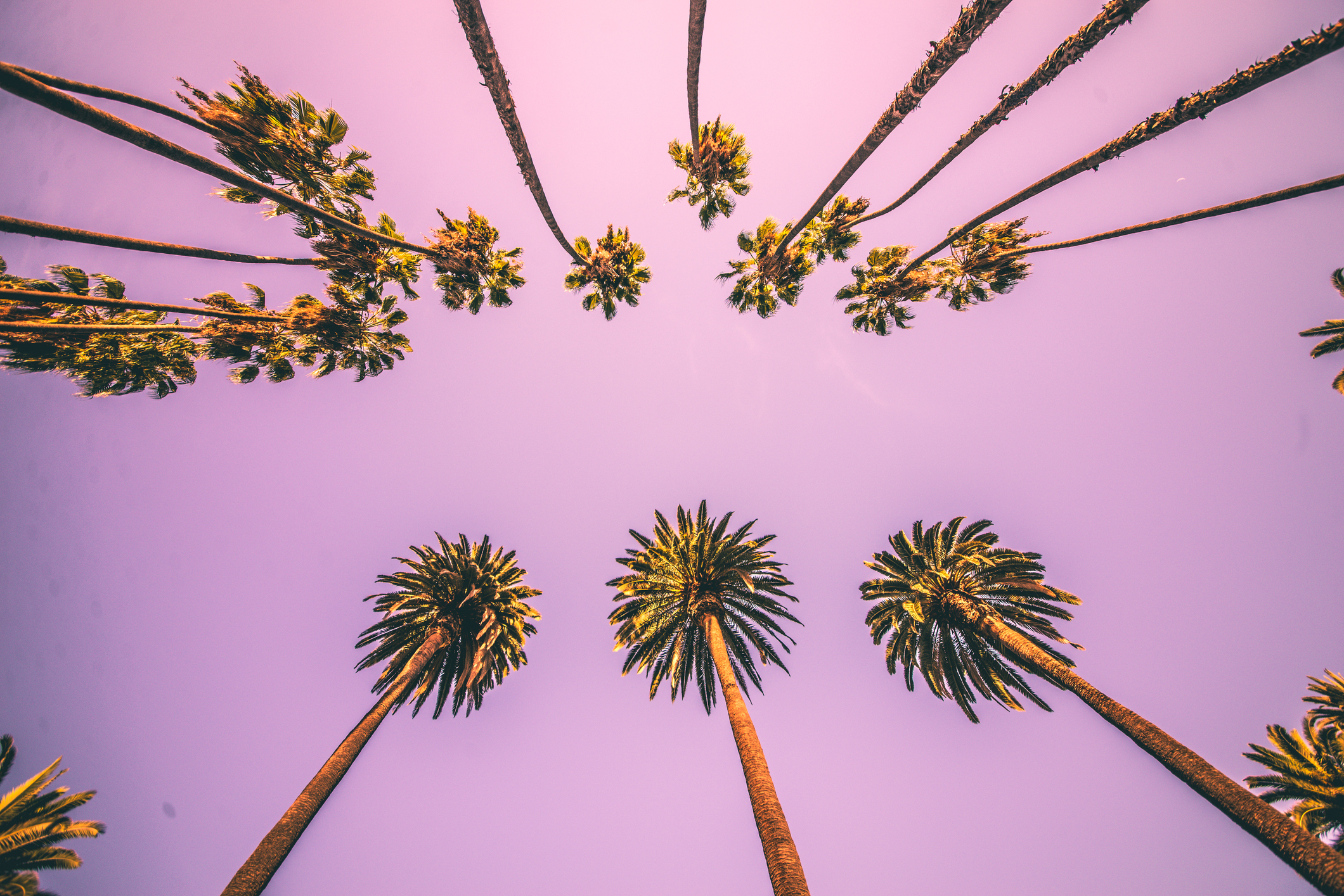 Photo by oneinchpunch/iStock / Getty Images