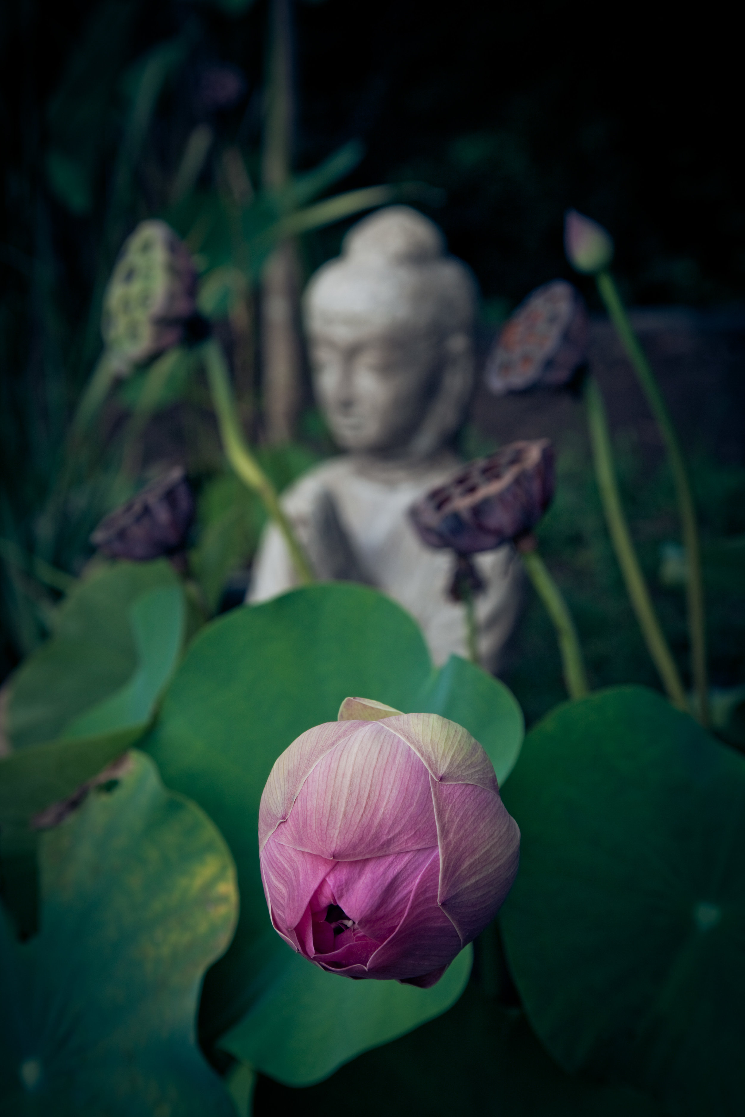 Photo Unsplash