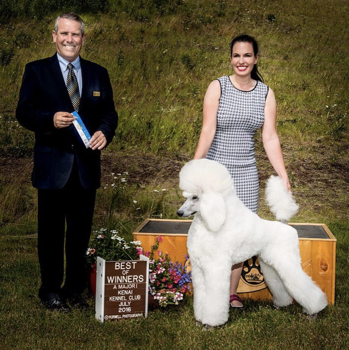EEP! Baby Bryce getting a major win as a Poodle puppy.