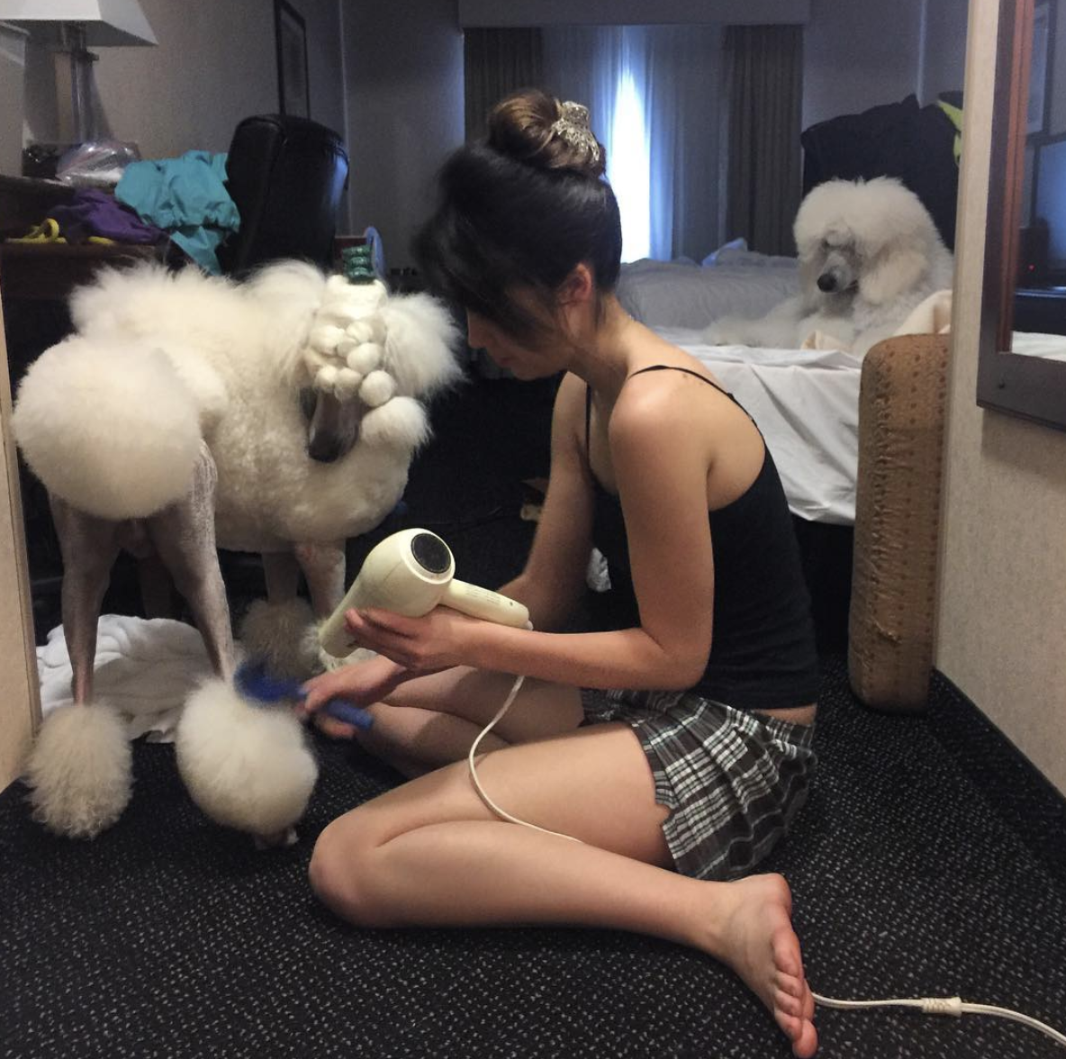 Chillin’ with the dog people who “get” me!