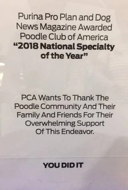 Poodle Club of America wins National Specialty of the Year!