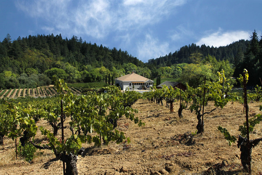 Arista Winery & Vineyards, Sonoma California 