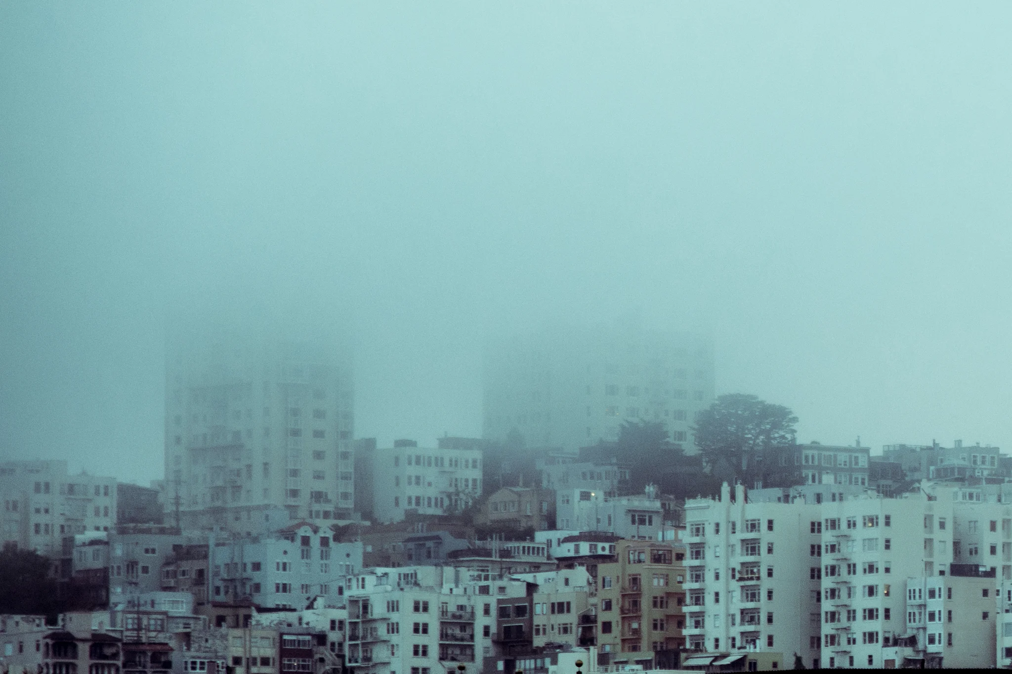 S.F.
