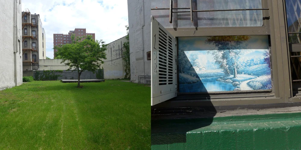  Tree, East 109th Street & Tree, East 108th Street