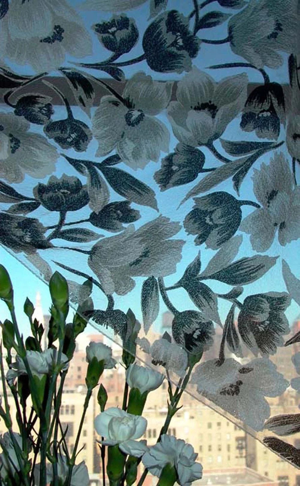 Carnations and Curtain