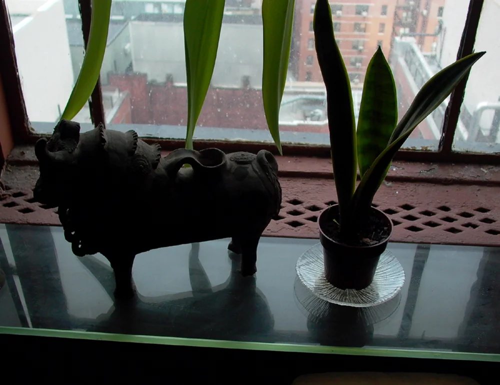 Bull and Plant