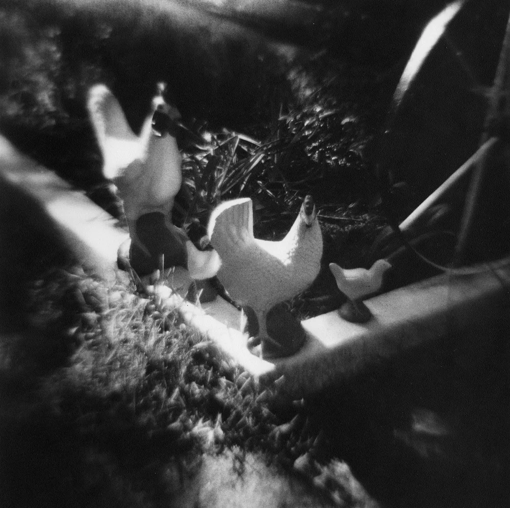  No One But Us Chickens