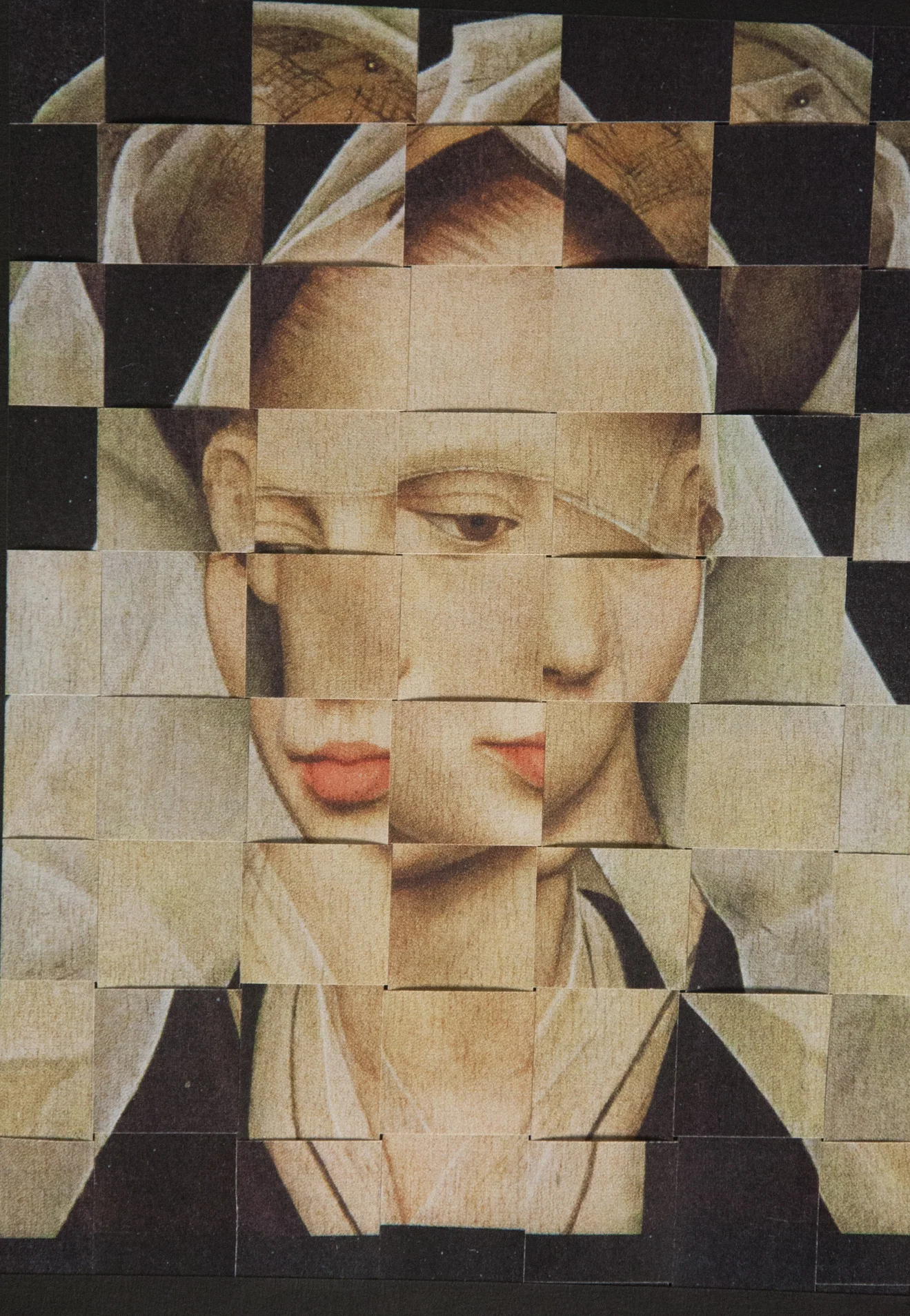 Portrait of A Lady, Woven