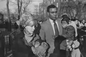 winogrand_images.jpeg