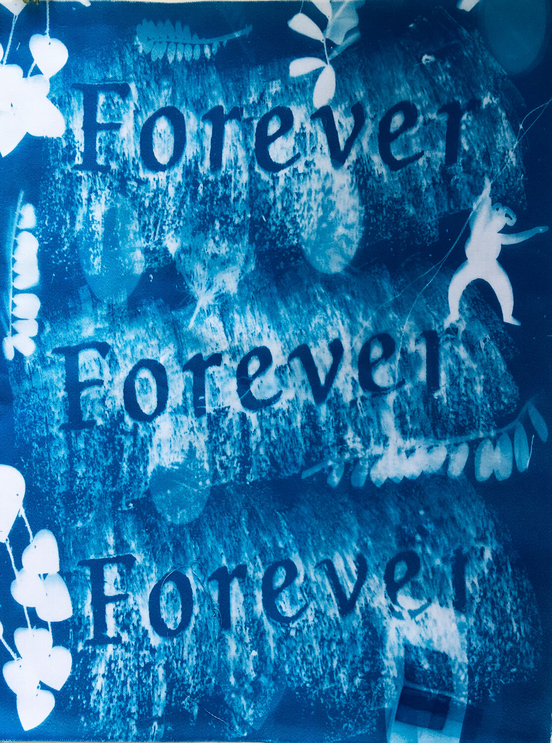 Forever w pinIMG_E2311.jpg