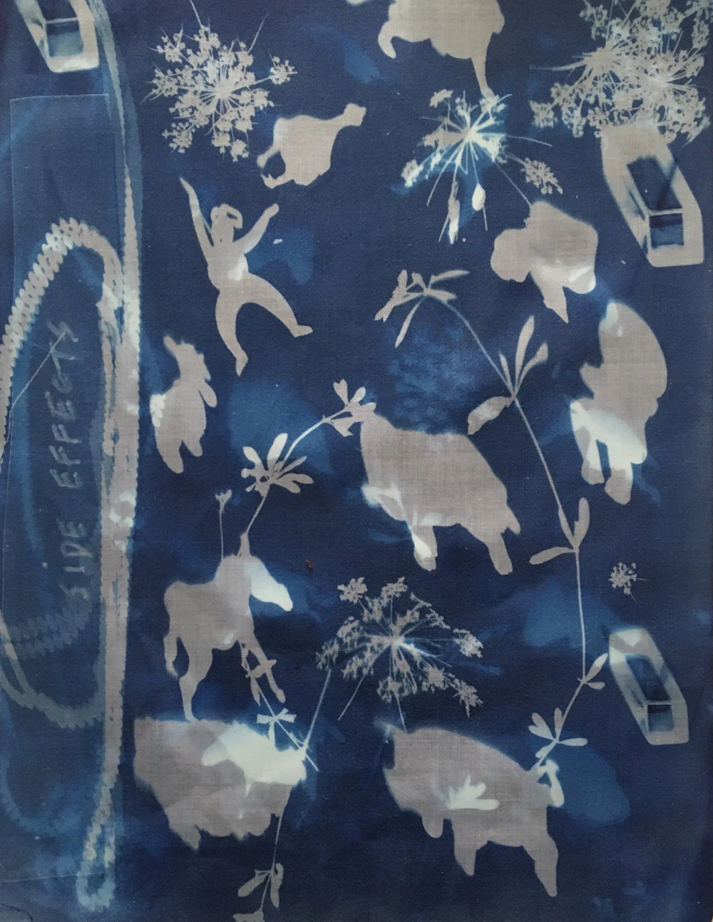 IMG_8581 side effects.jpg