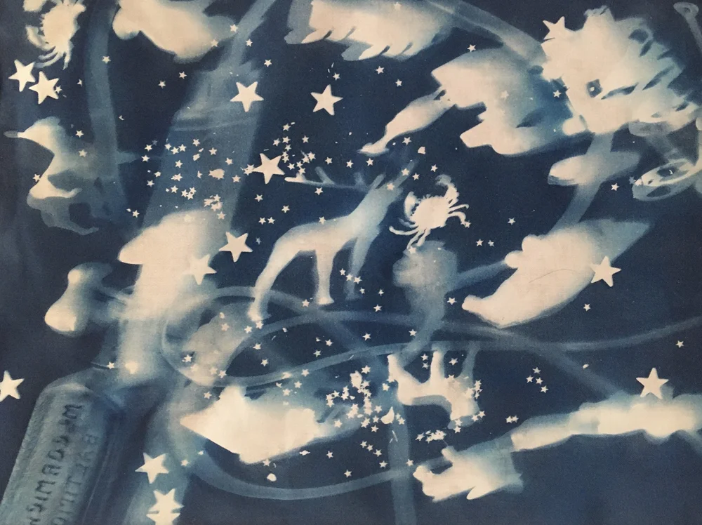 IMG_8969 copyriding the rails horizontal.jpg