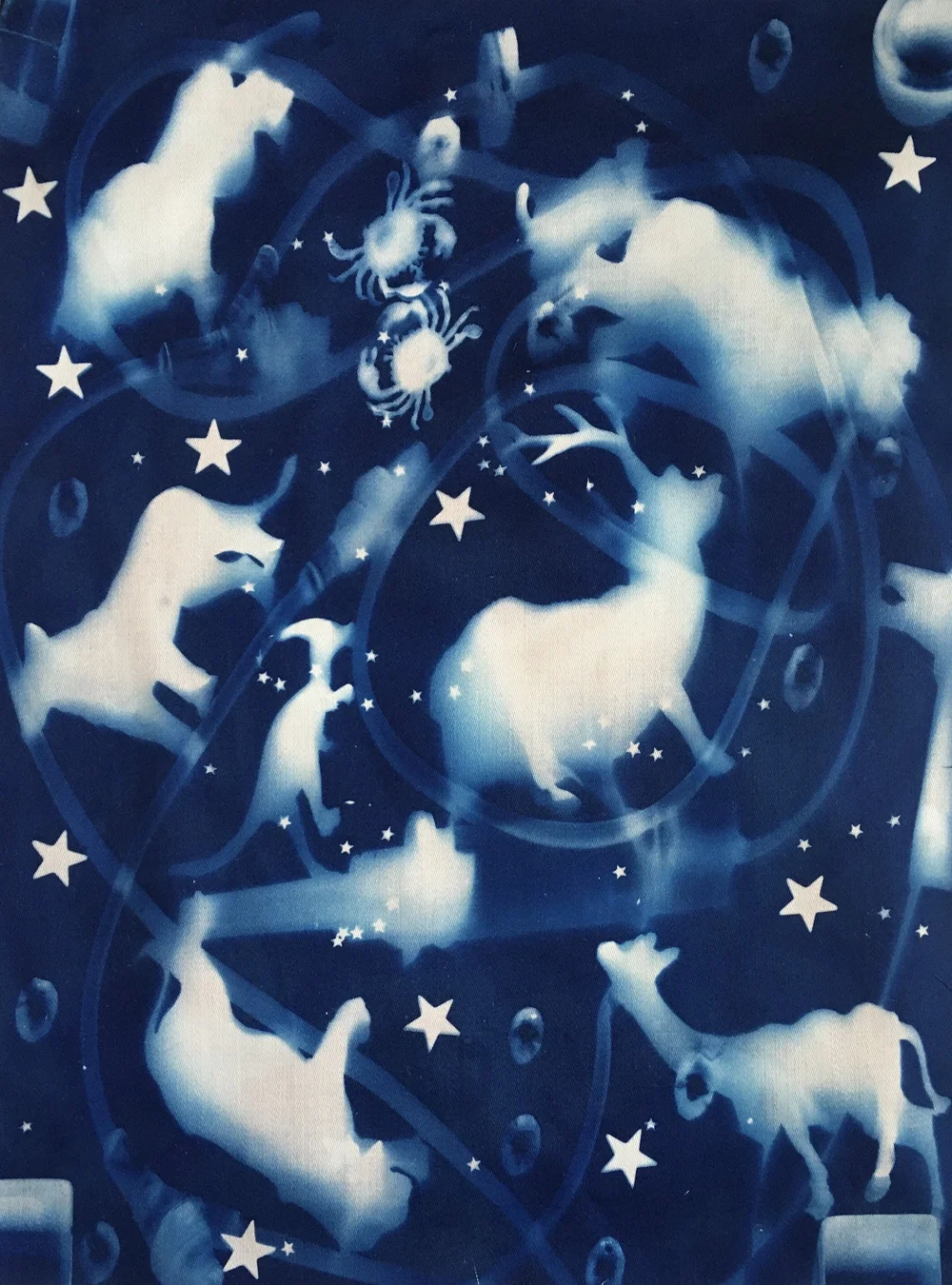 IMG_9024 riding rails double crab!.jpg