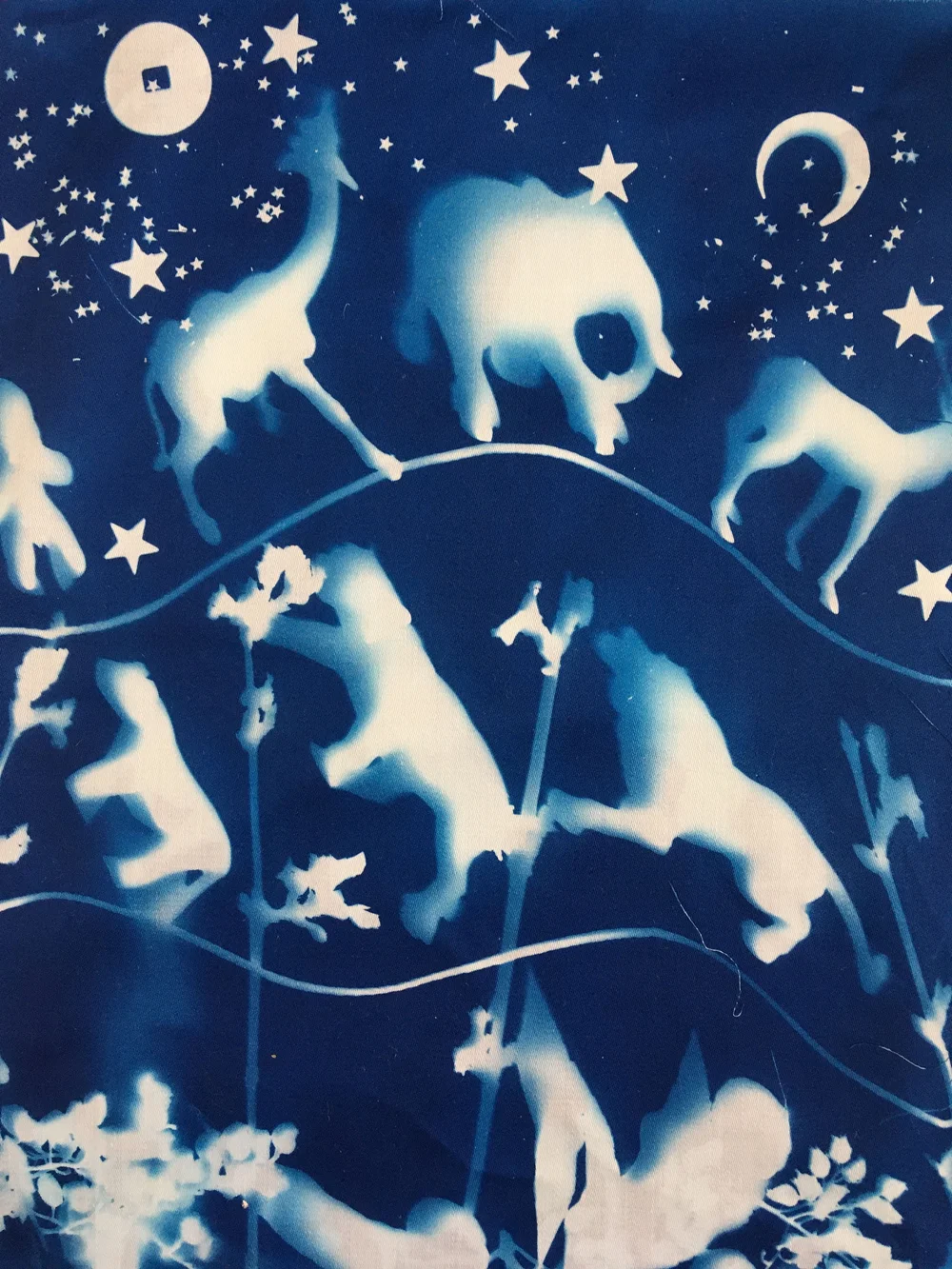 IMG_9737jungle fever.JPG