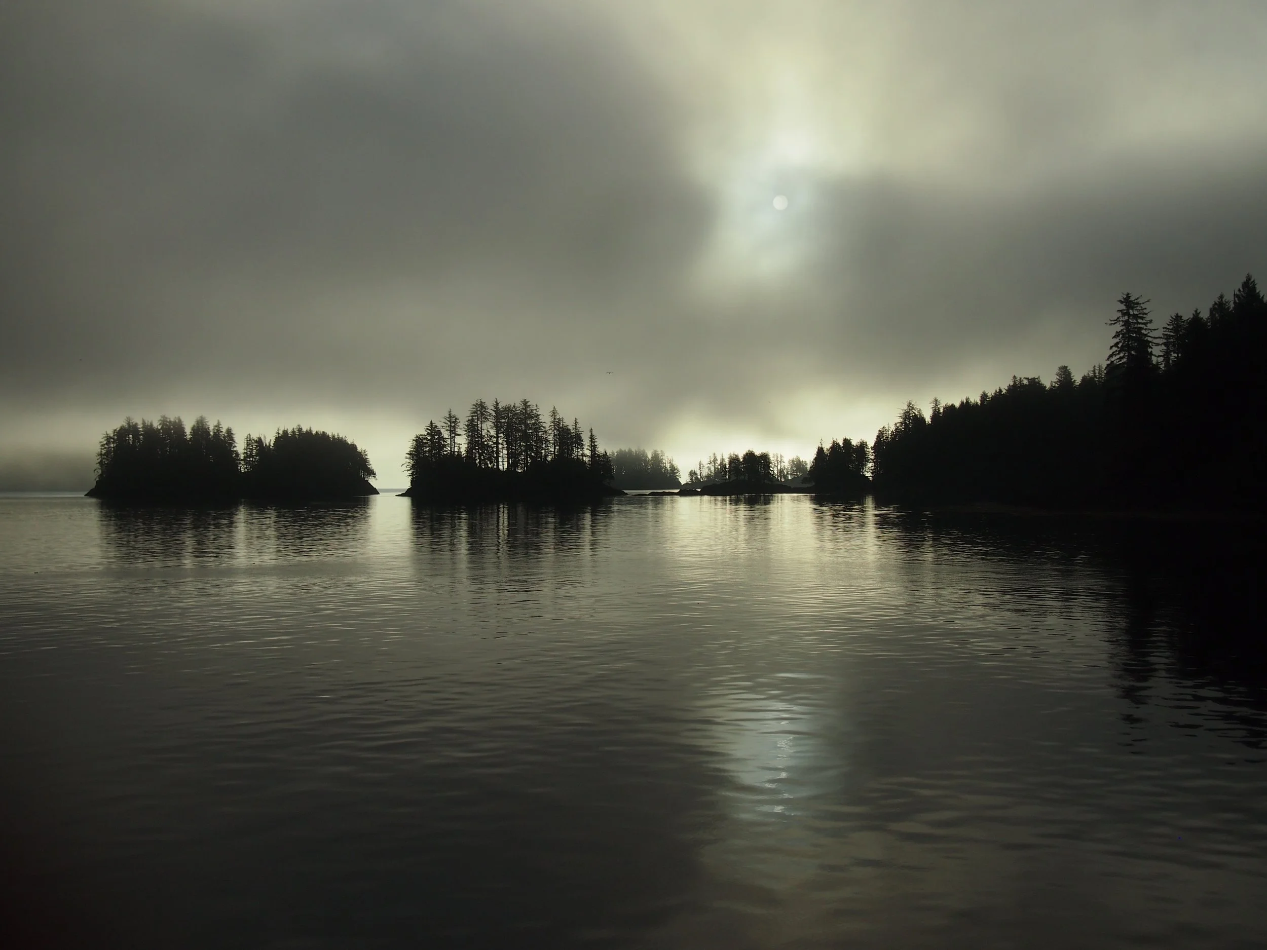 P1018810.jpg