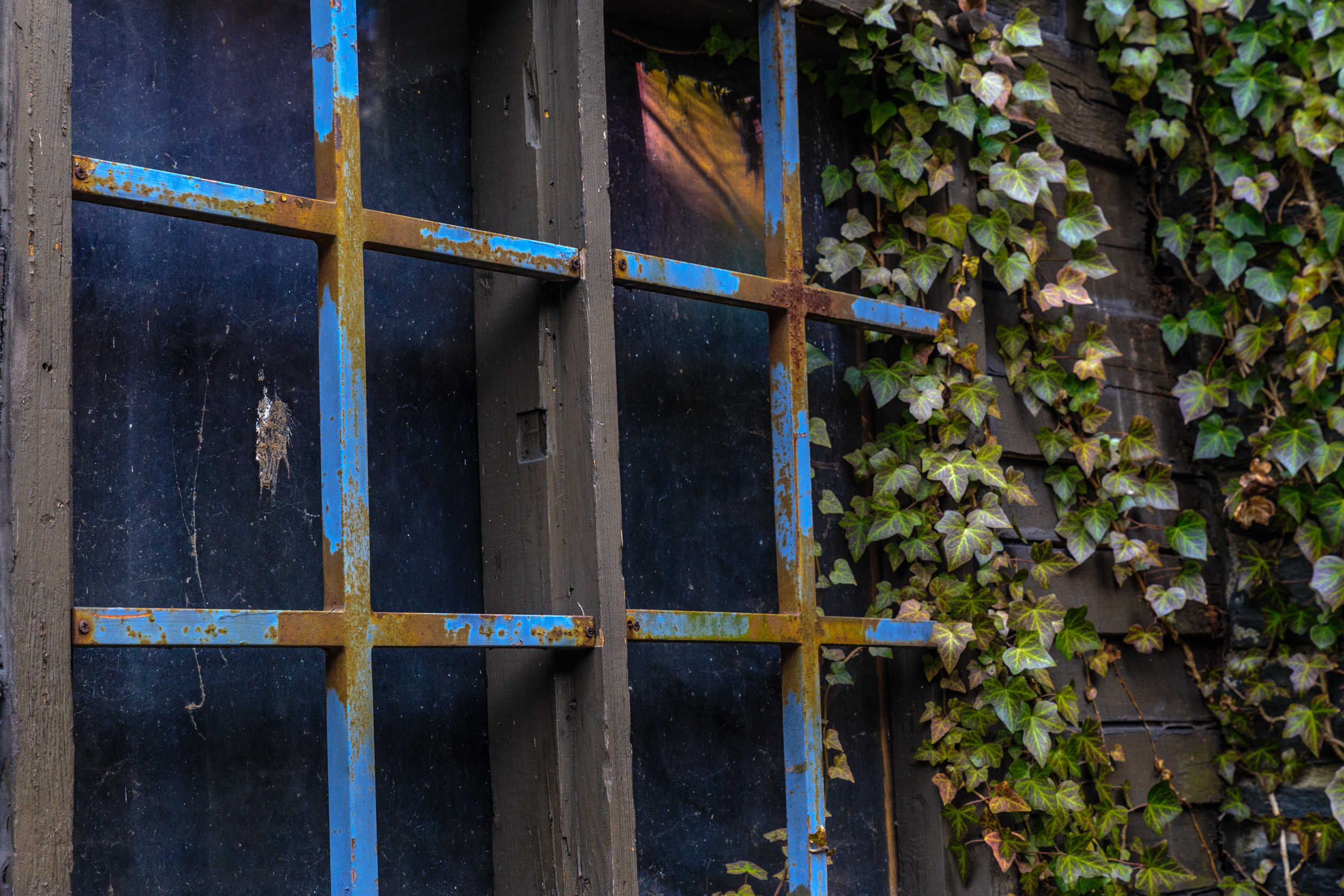 wissahickon-window.jpg