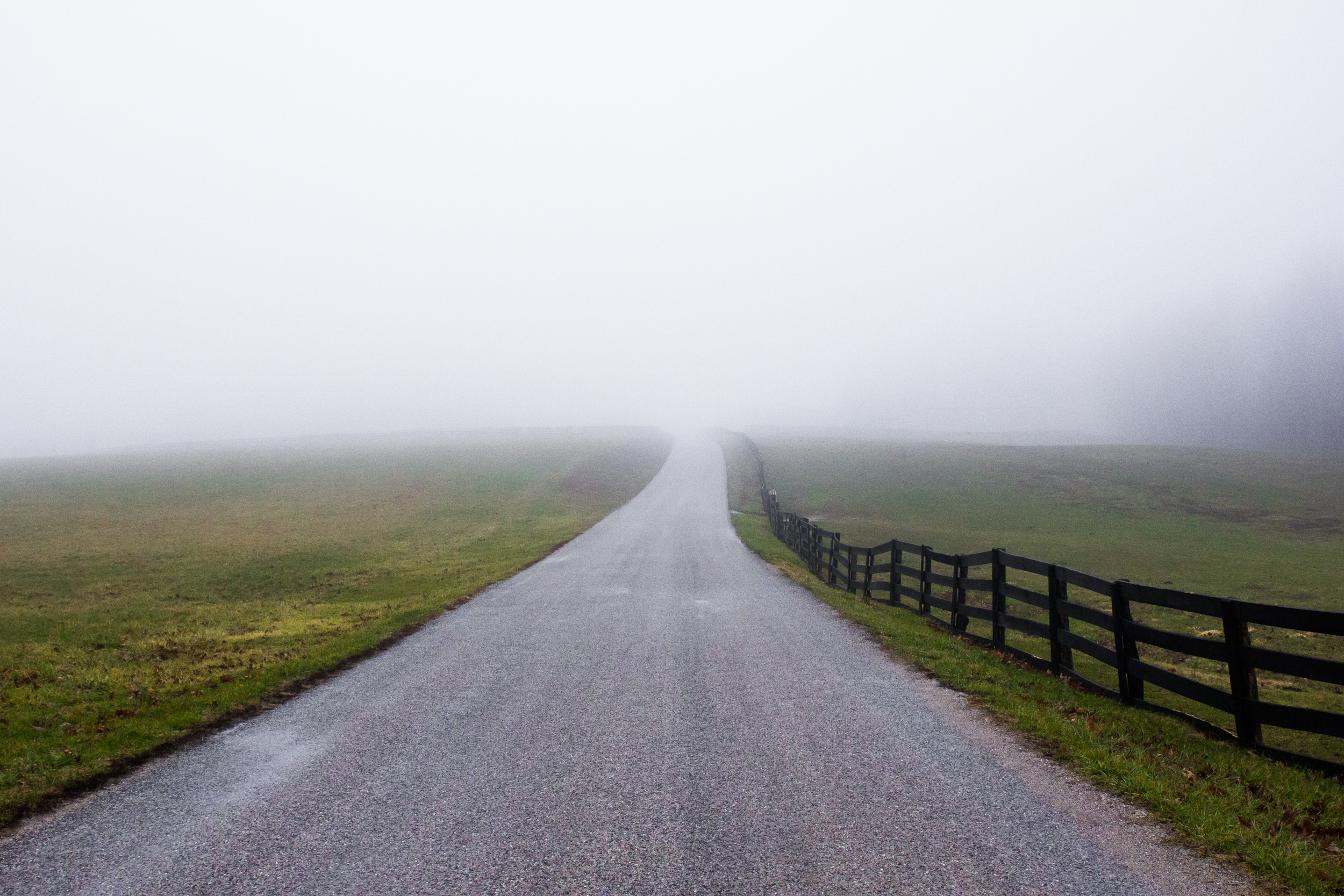 newfreedom-fog.jpg