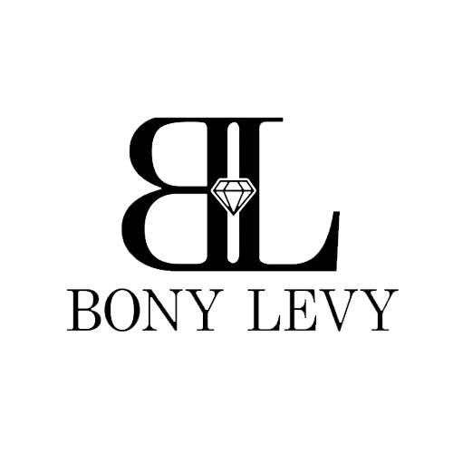 bony_levy_logo-removebg-preview.webp