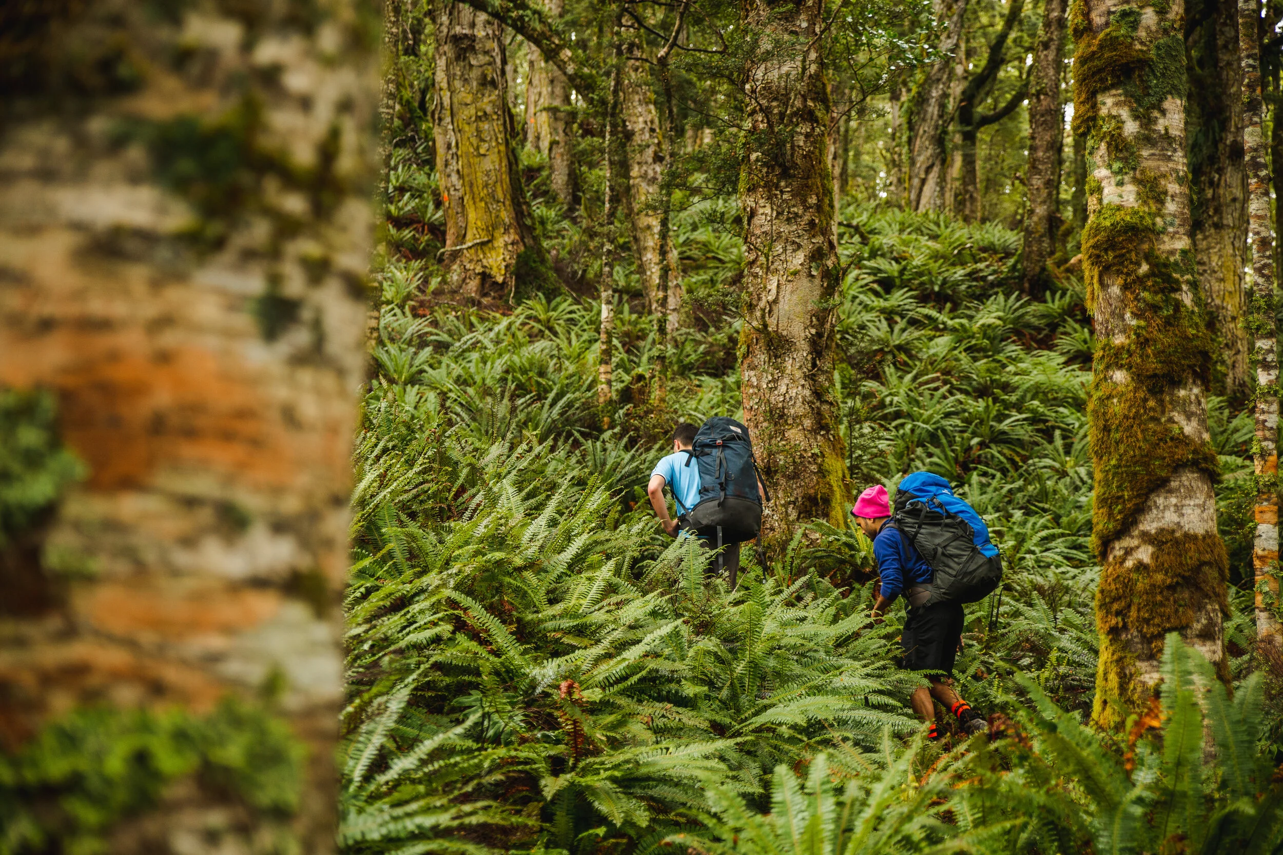 OutdoorsWebsitesml-8.jpg