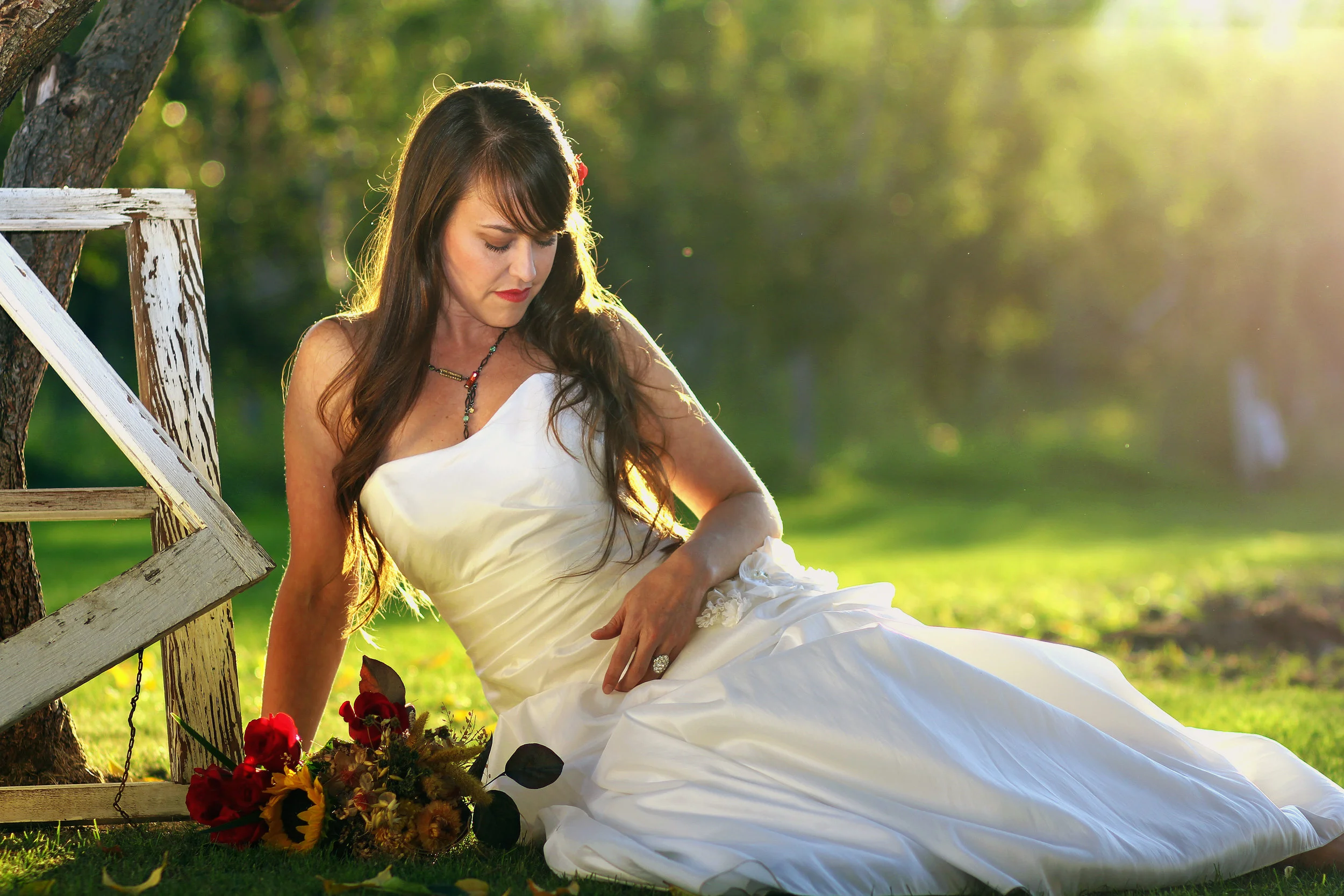 The Sunshine Ranch