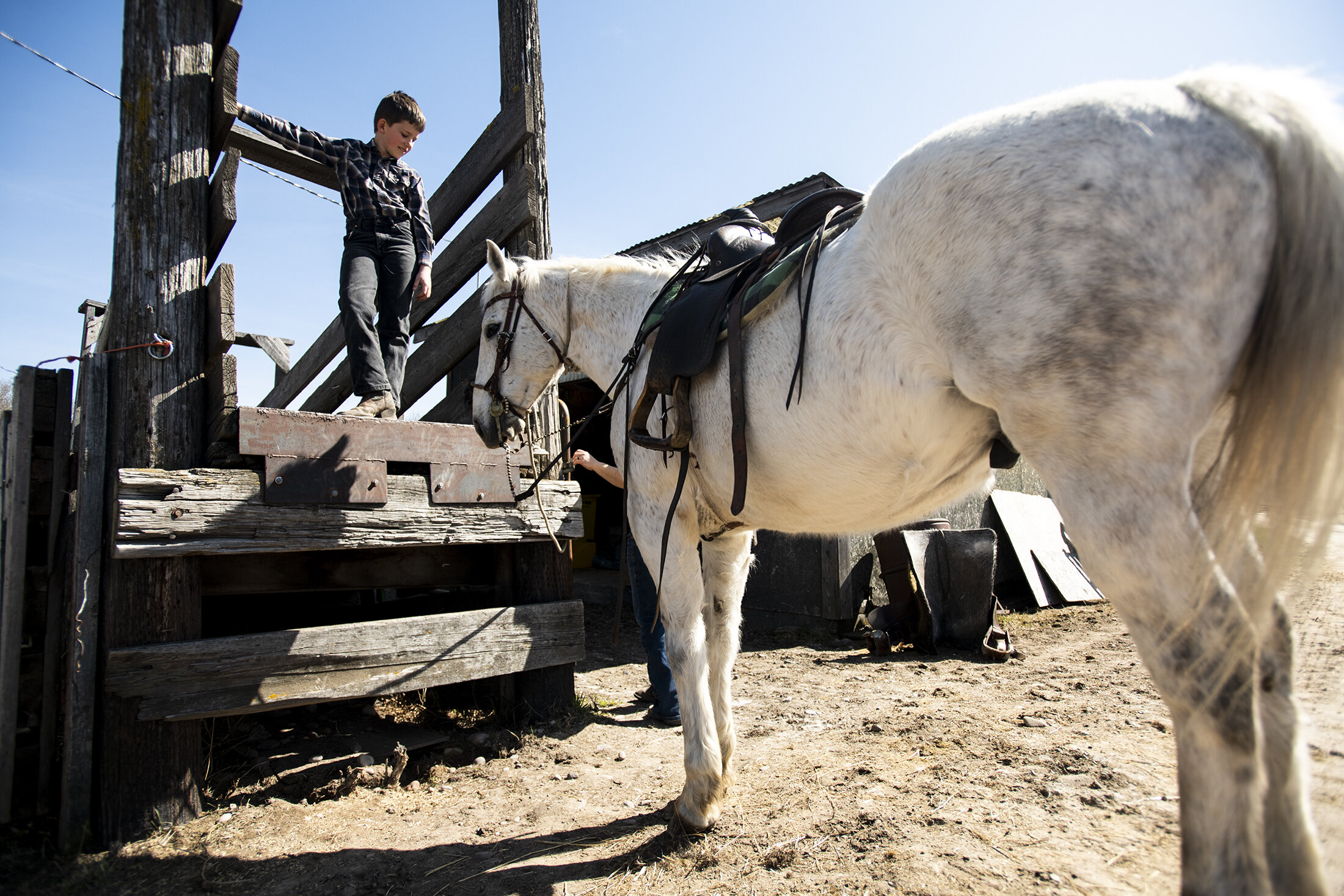  Clay Lewis, the son of cattle ranchers Jim and Carly Lewis, waits to saddle-up on Monster, his 17-year-old horse at the family’s Triple L Livestock cattle ranch in Frenchtown, Mont. on April 8, 2020. 