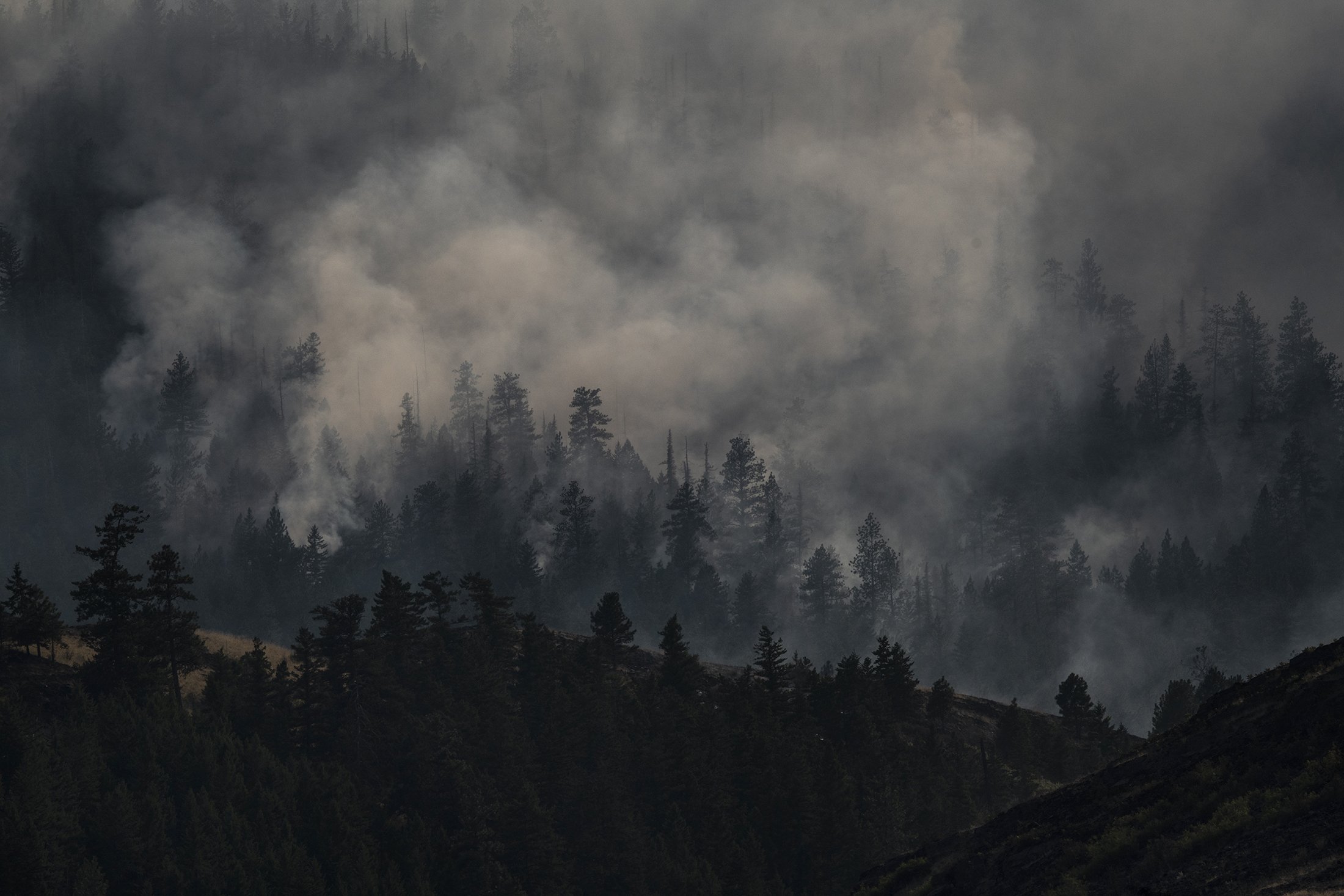  Smoke fills the trees during a forest fire near Dixon, Mont. in 2019. 