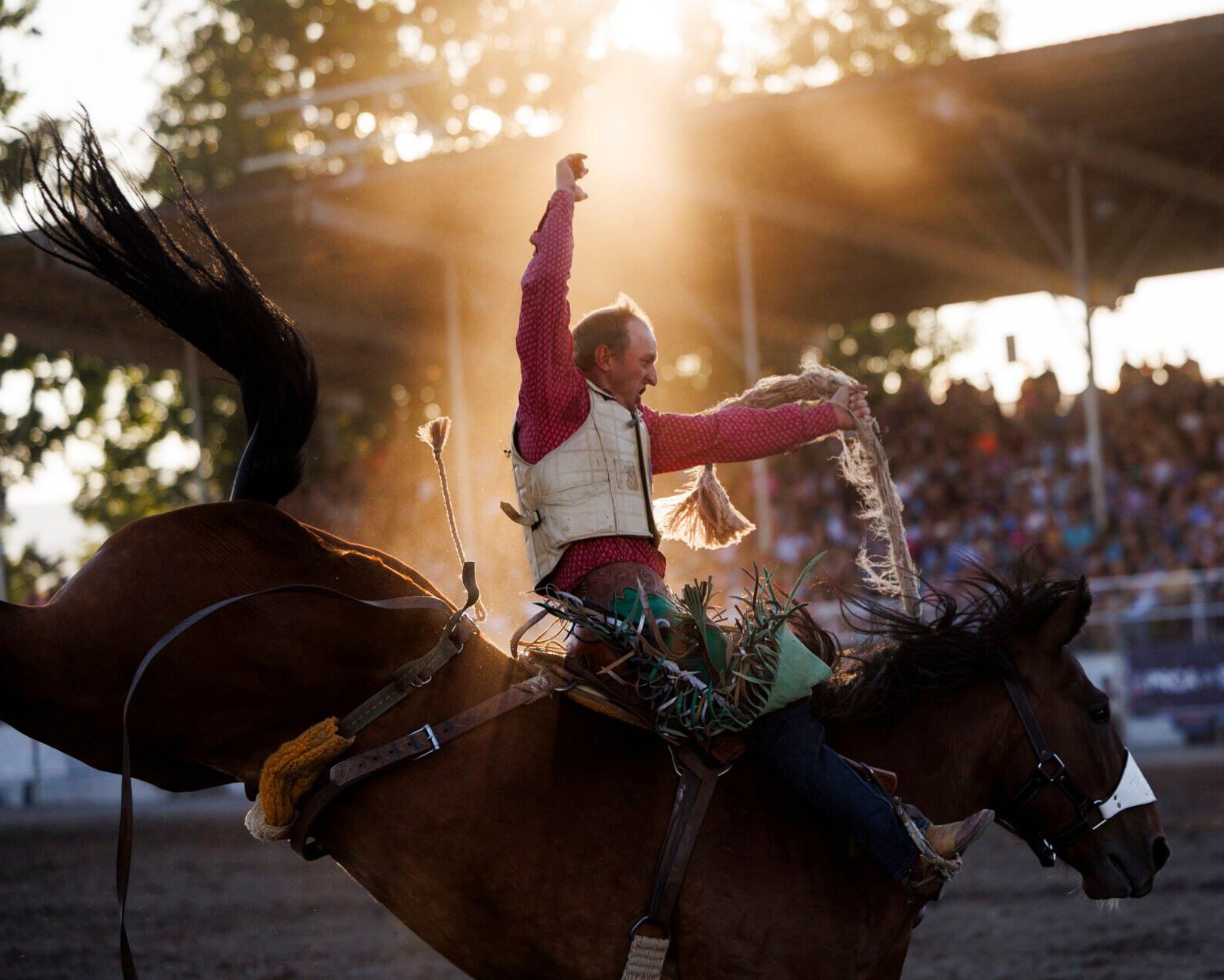  Allen Boore, a bareback rider, competes in the Missoula Stampede Rodeo at the Western Montana Fair, Thursday, Aug. 10, 2023. 