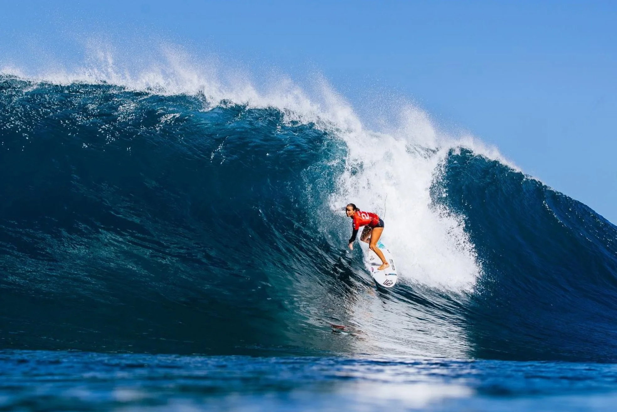 RPELA Shark Deterrents