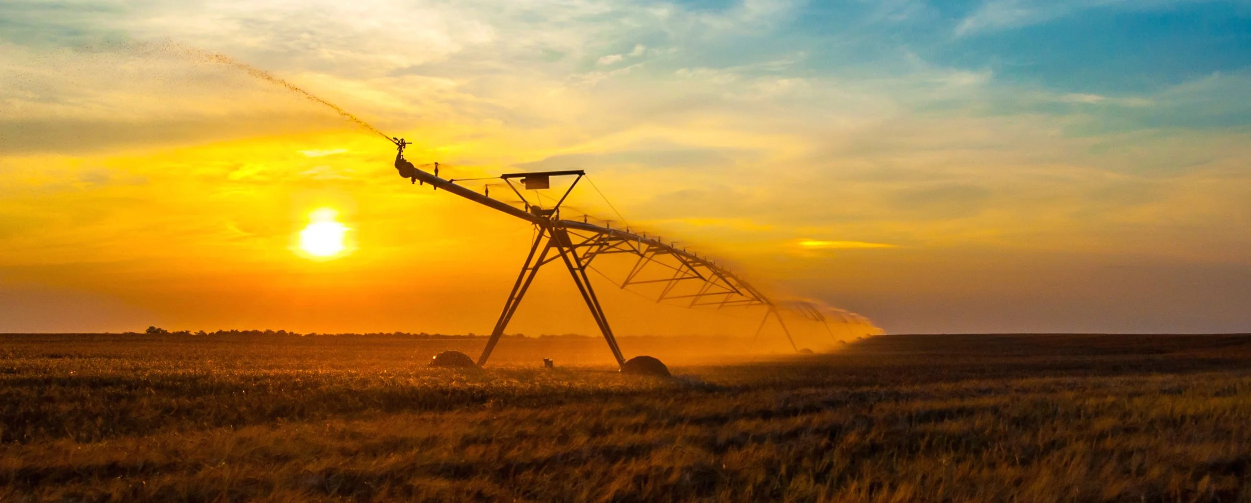 ABOUT - What we do.jpeg