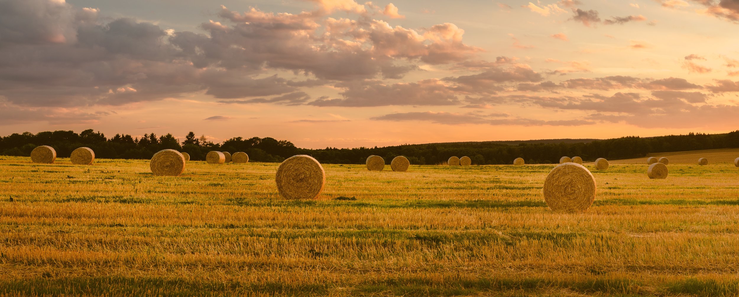 SERVICES - Training.jpeg