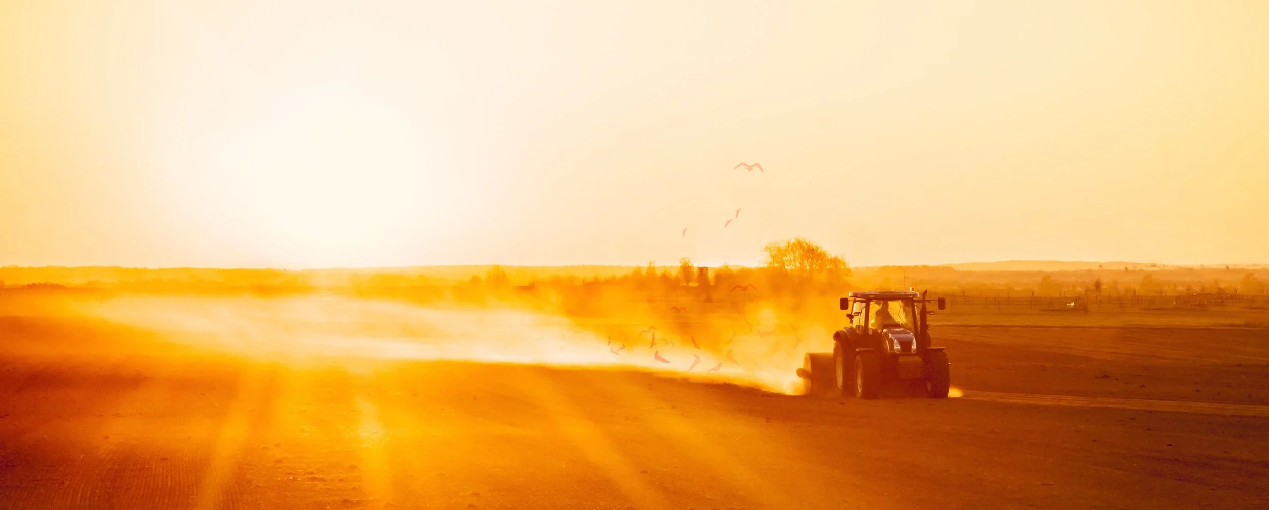 INNOVATION - weight based adjustment.jpeg