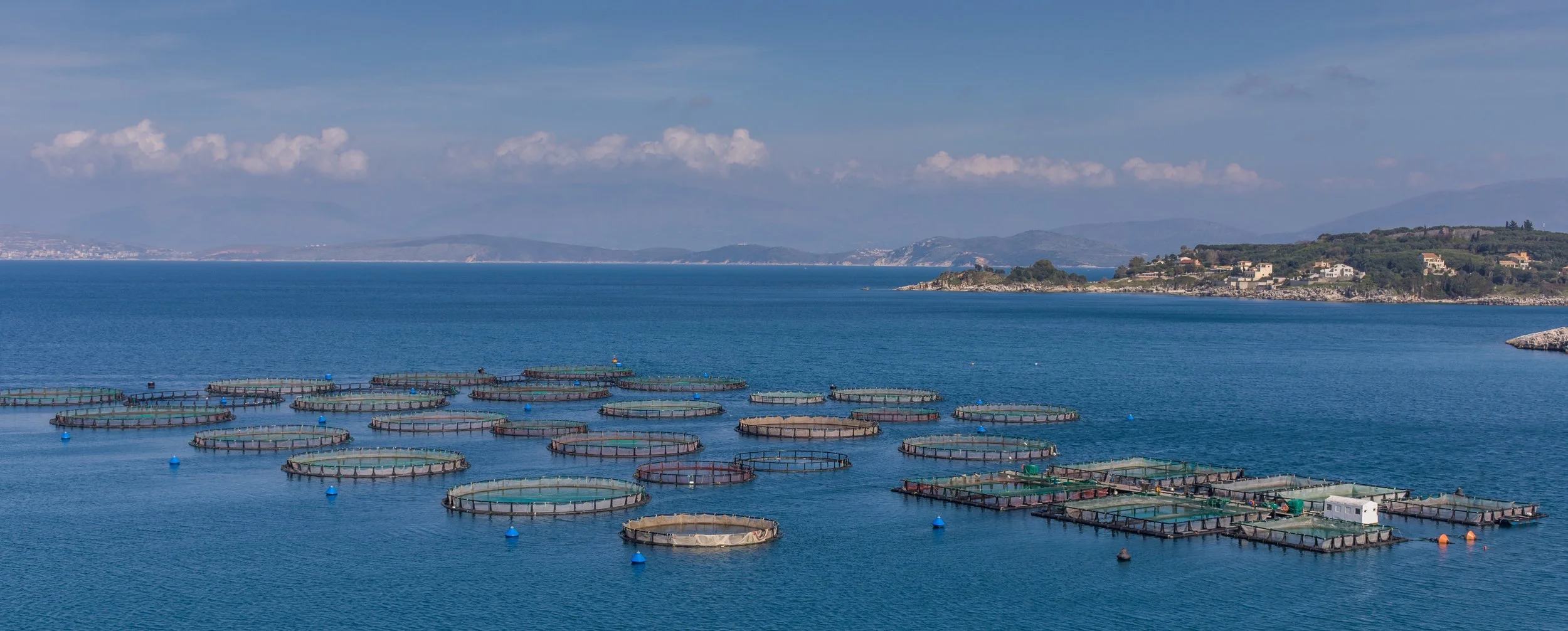 INNOVATION - satellite.jpeg