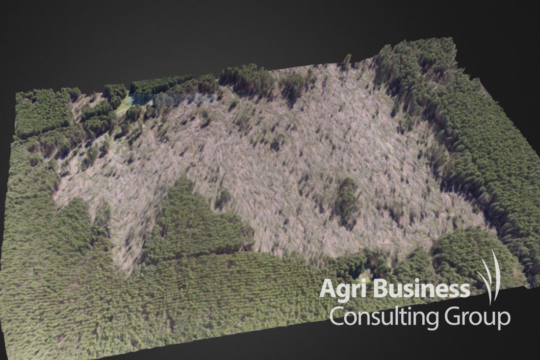   ABCG's 3-D drone imagery used to identify a forestry wind throw loss - NSW.  