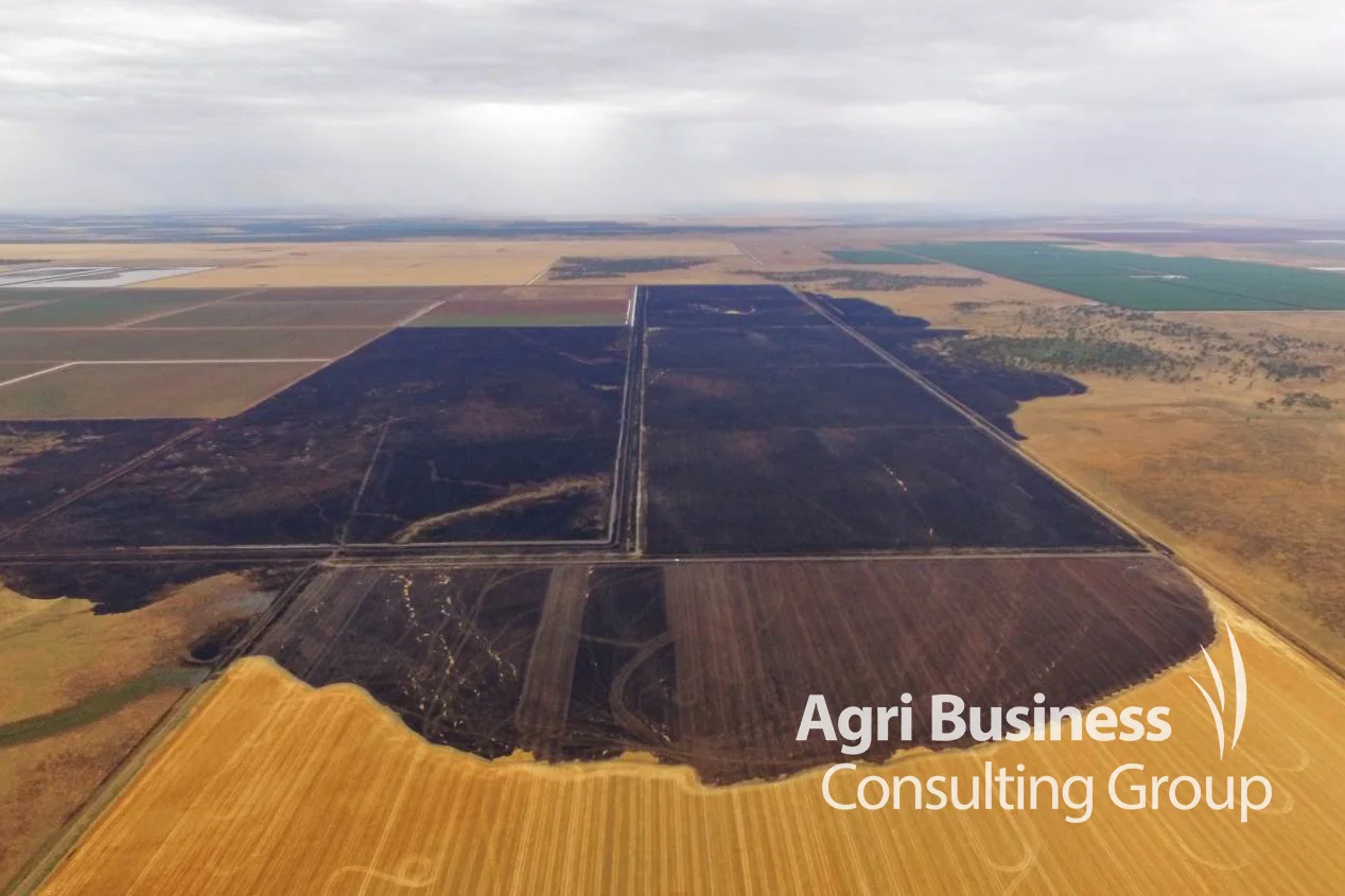 ABCG drone image of fire damage in cereal stubble. 