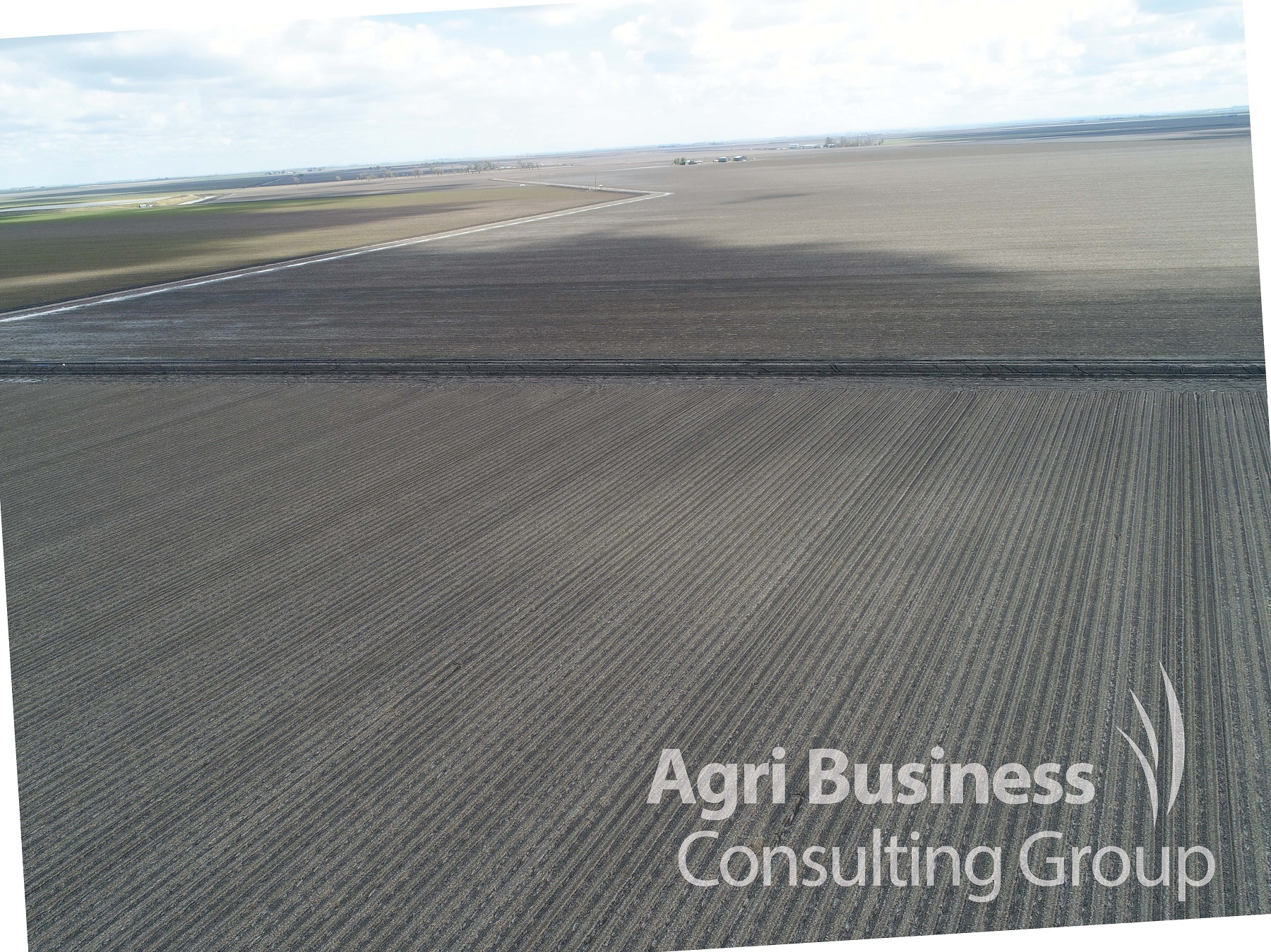 Aerial view of cotton hail damage, Darling Downs QLD