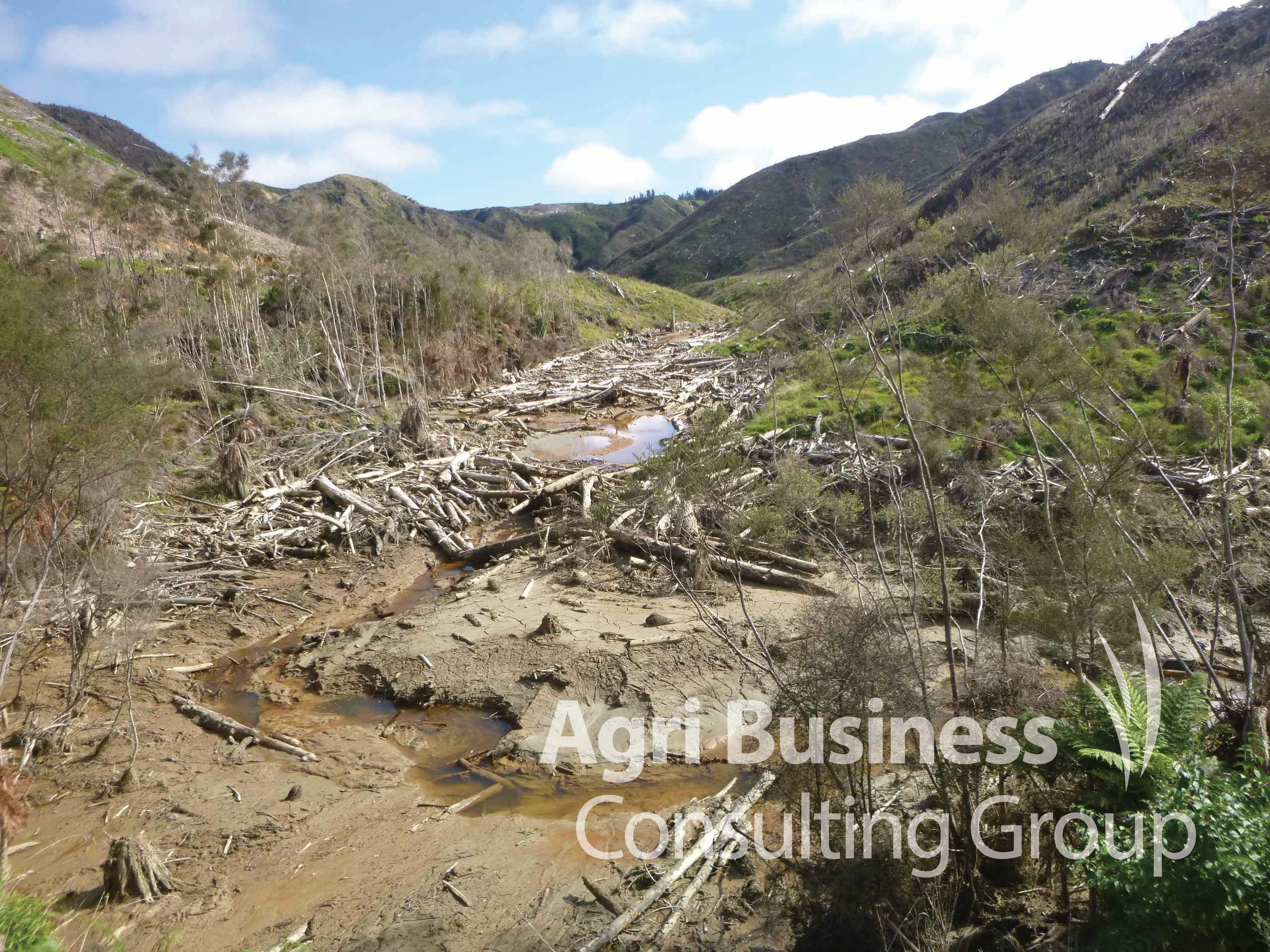  Wind storm and land slip damage on a forest plantation, New Zealand. 