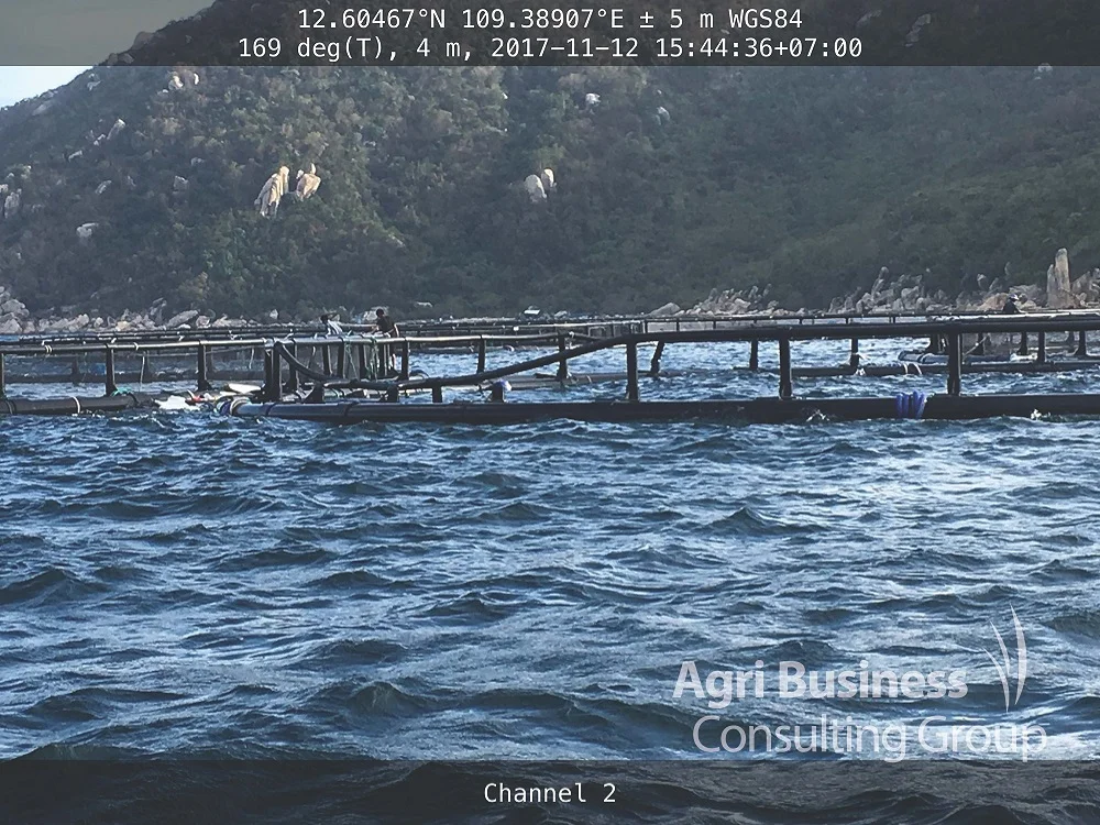 Fish cages severely damaged by Indonesian typhoon in 2017.