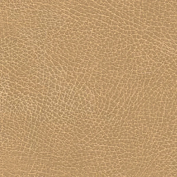 Buckskin